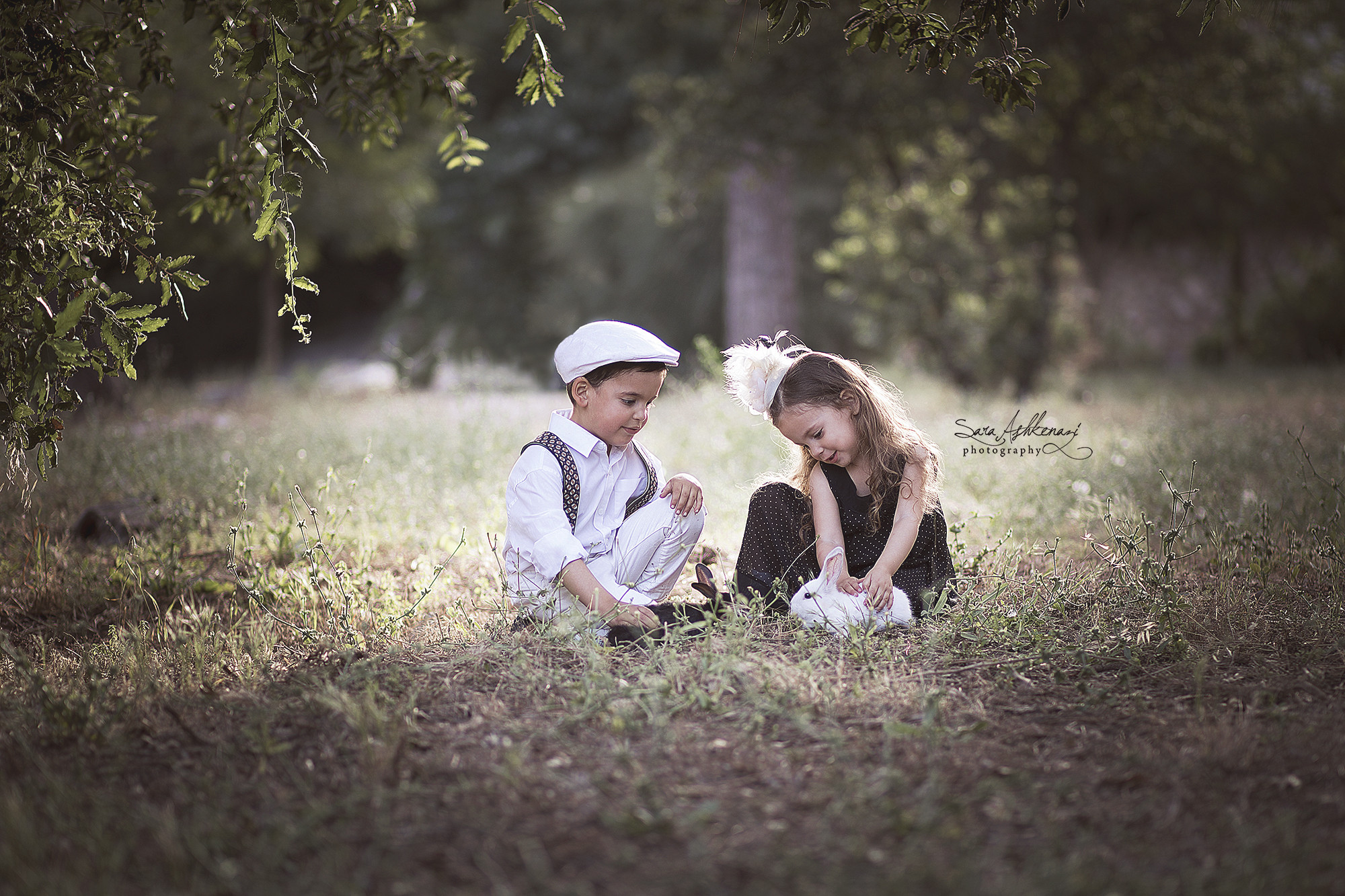 1I3A0418 מושלם מוקטן 2.jpg