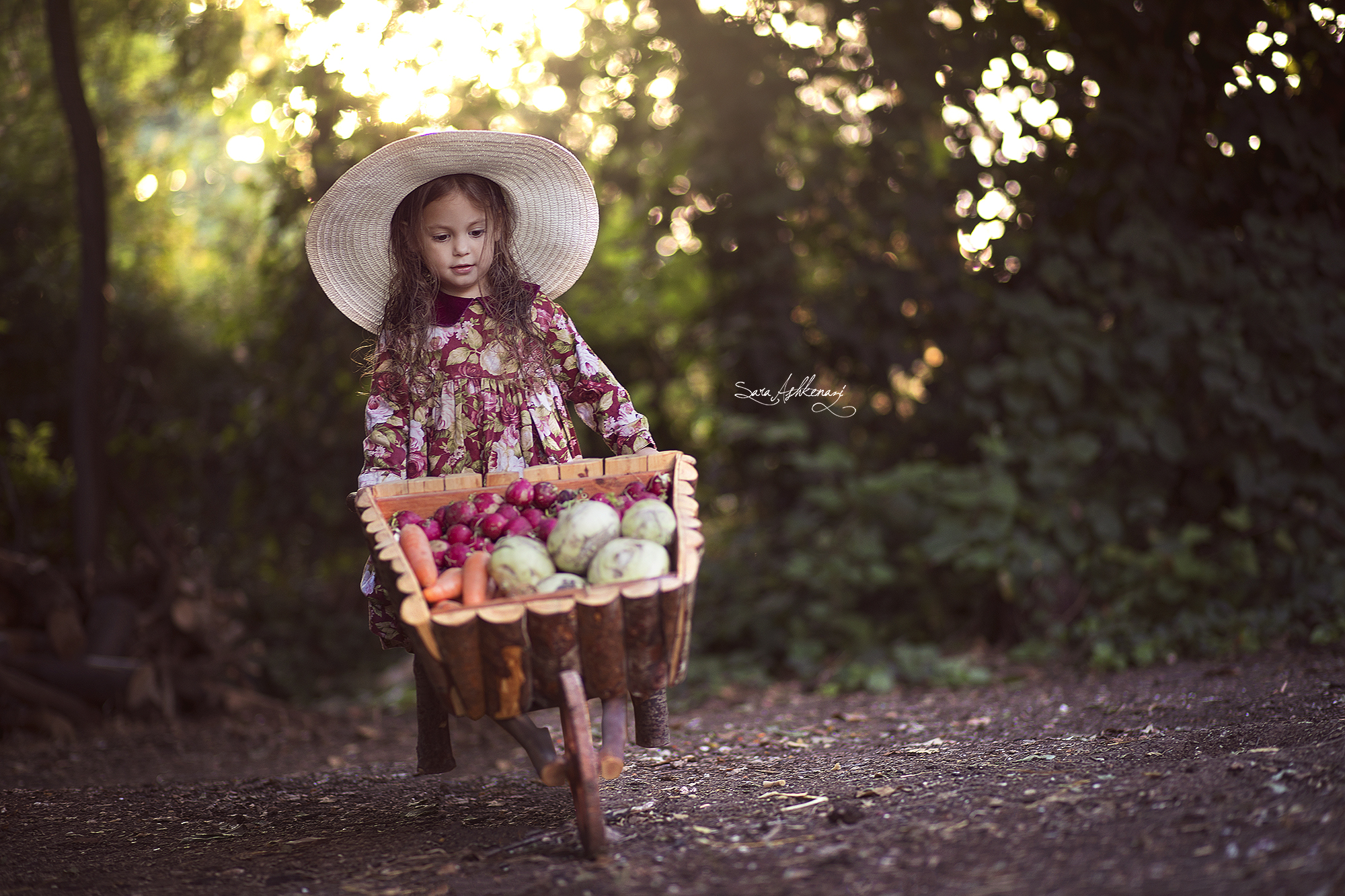 1I3A0657 ערוך מוקטן.jpg