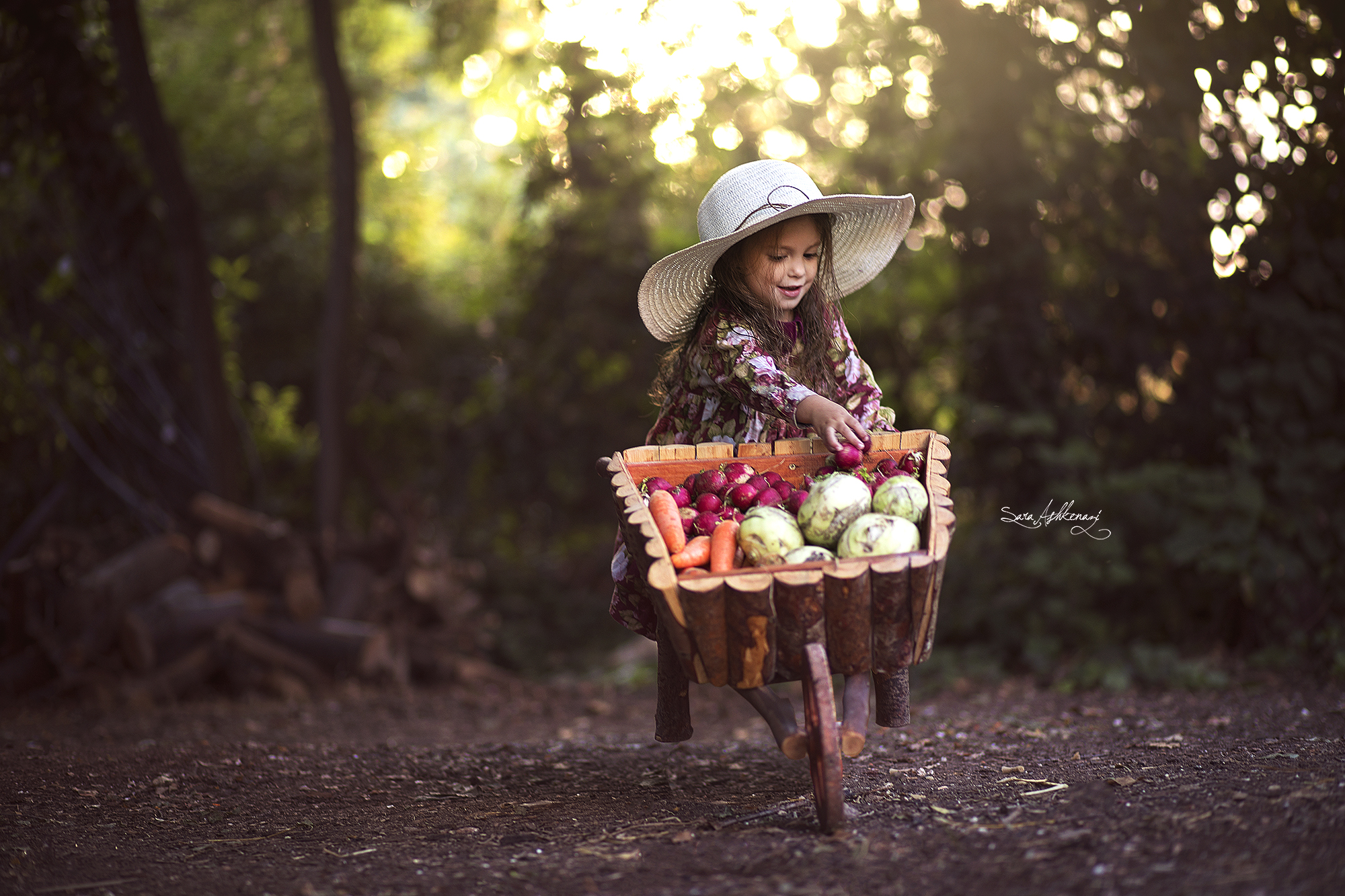 1I3A0658  מוקטן ערוך.jpg