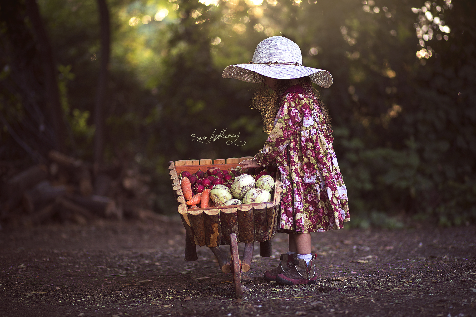 1I3A0660  מוקטן ערוך.jpg