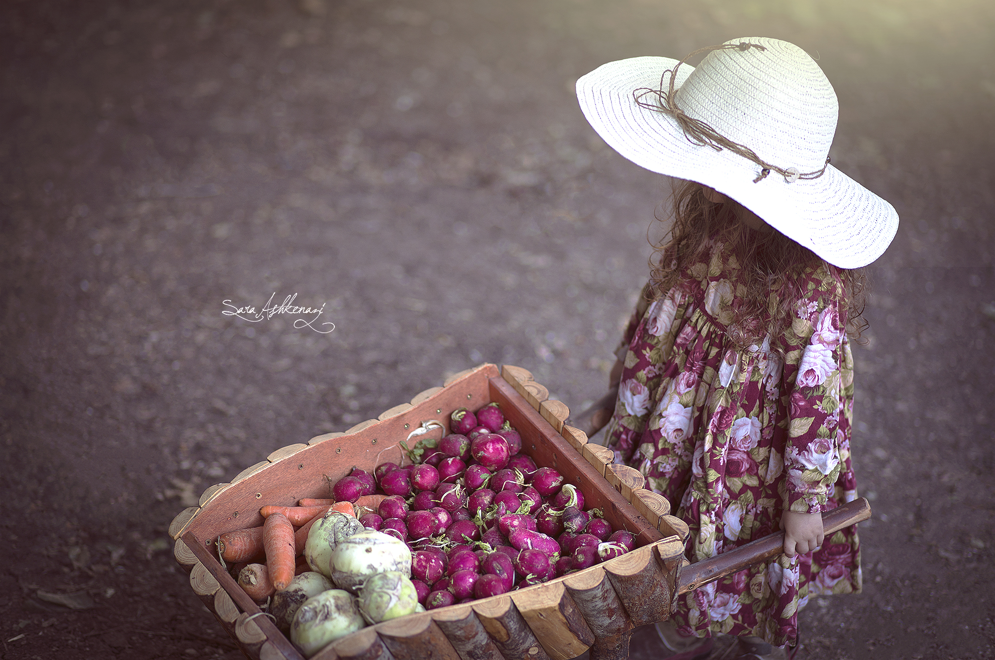 1I3A0669  מוקטן ערוך.jpg