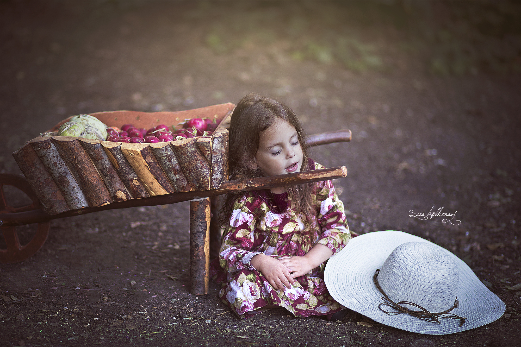 1I3A0682מוקטן ערוך.jpg