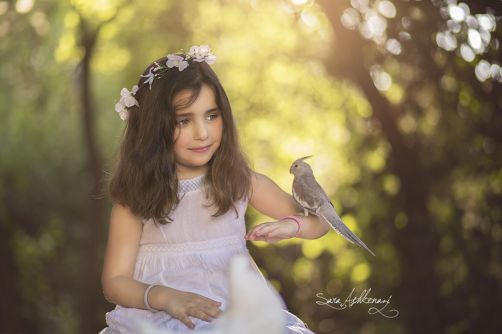 1I3A1396 מוקטן.jpg