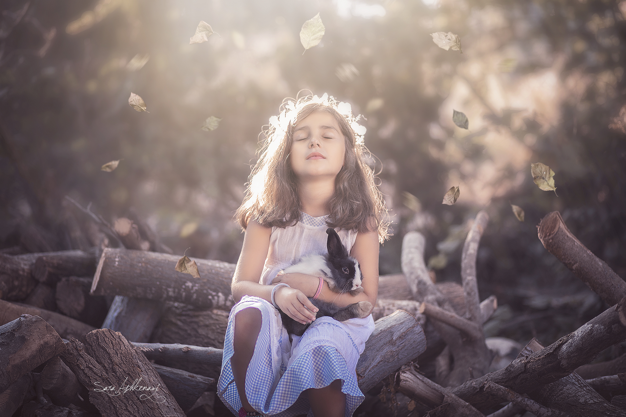 1I3A1435ערוך מוקטן.jpg