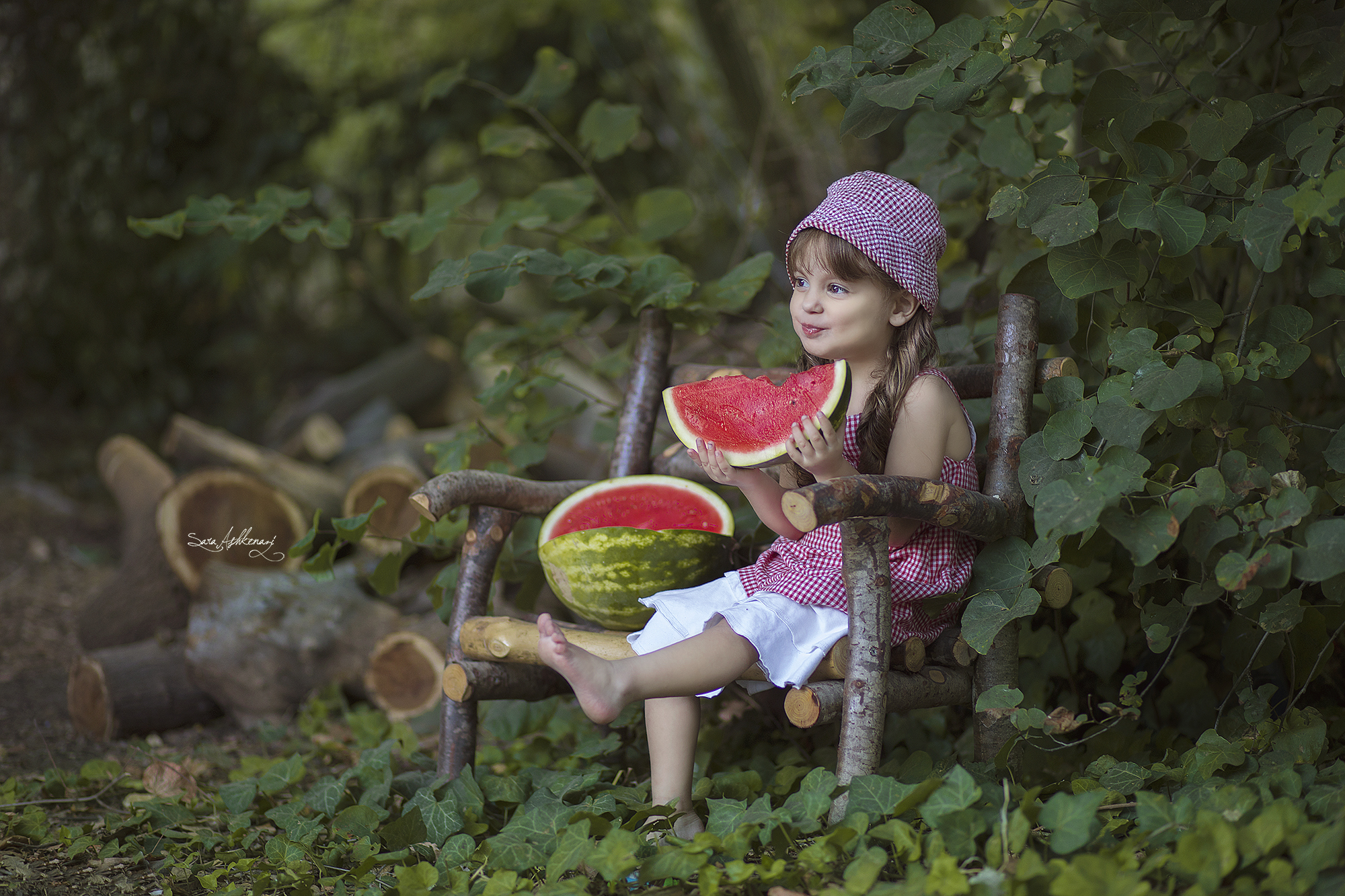 1I3A1534 ערוך ירוק מוקטן.jpg