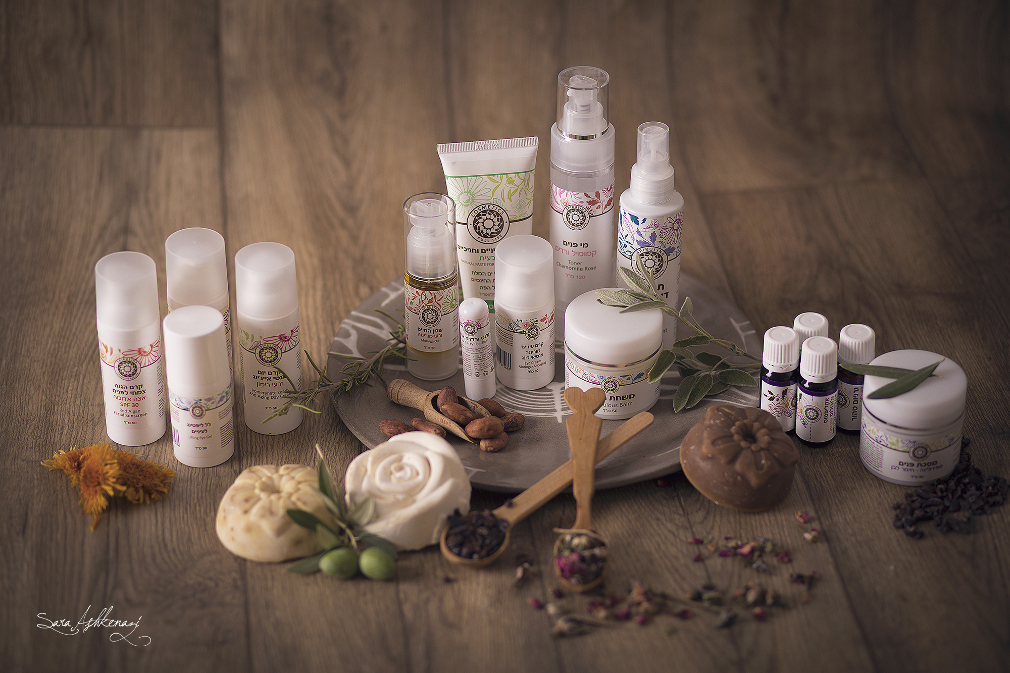 1I3A2524ערוך מוקטן.jpg