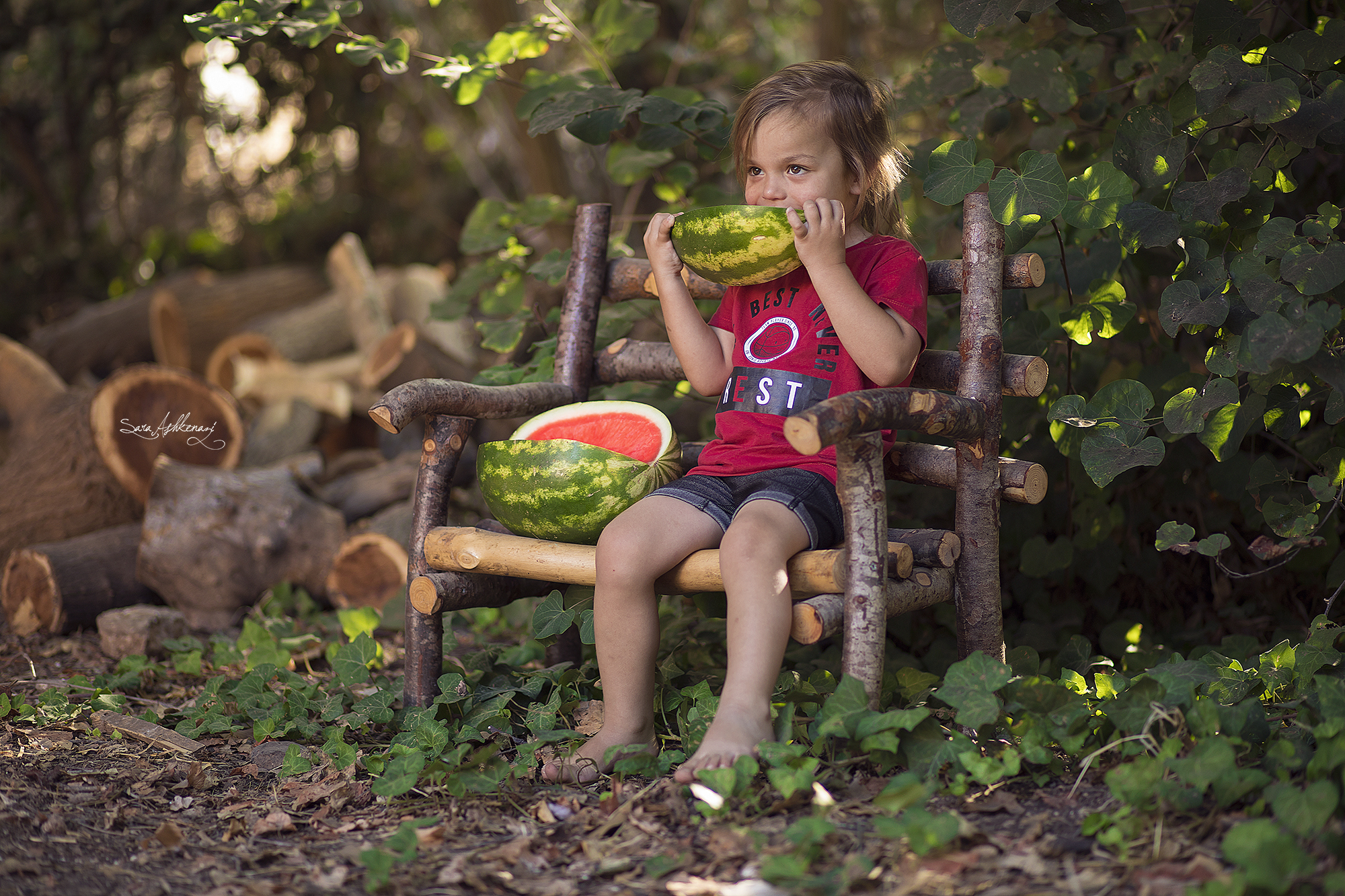 1I3A2772 מוקטן.jpg