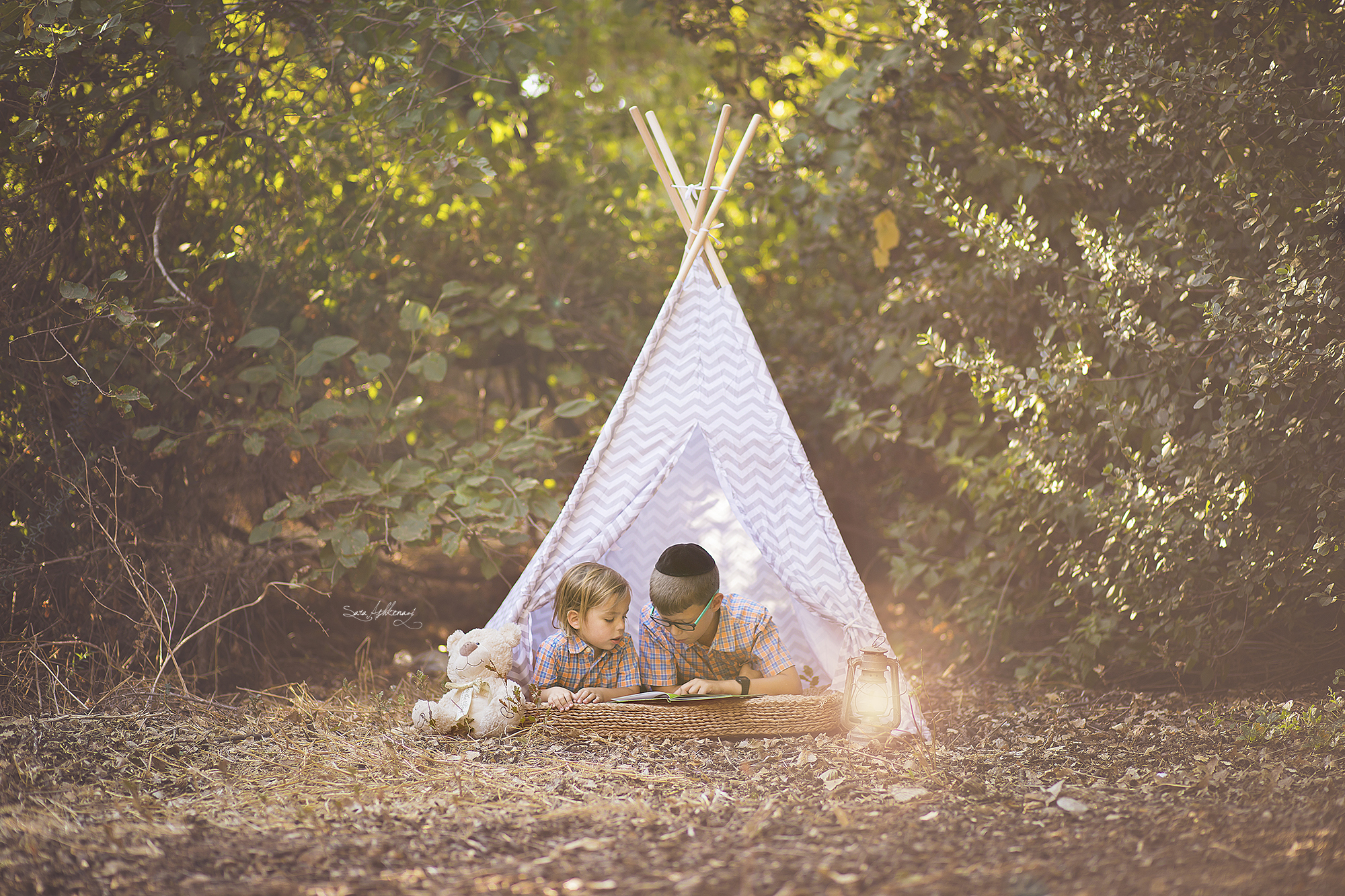 1I3A2838 מוקטן.jpg