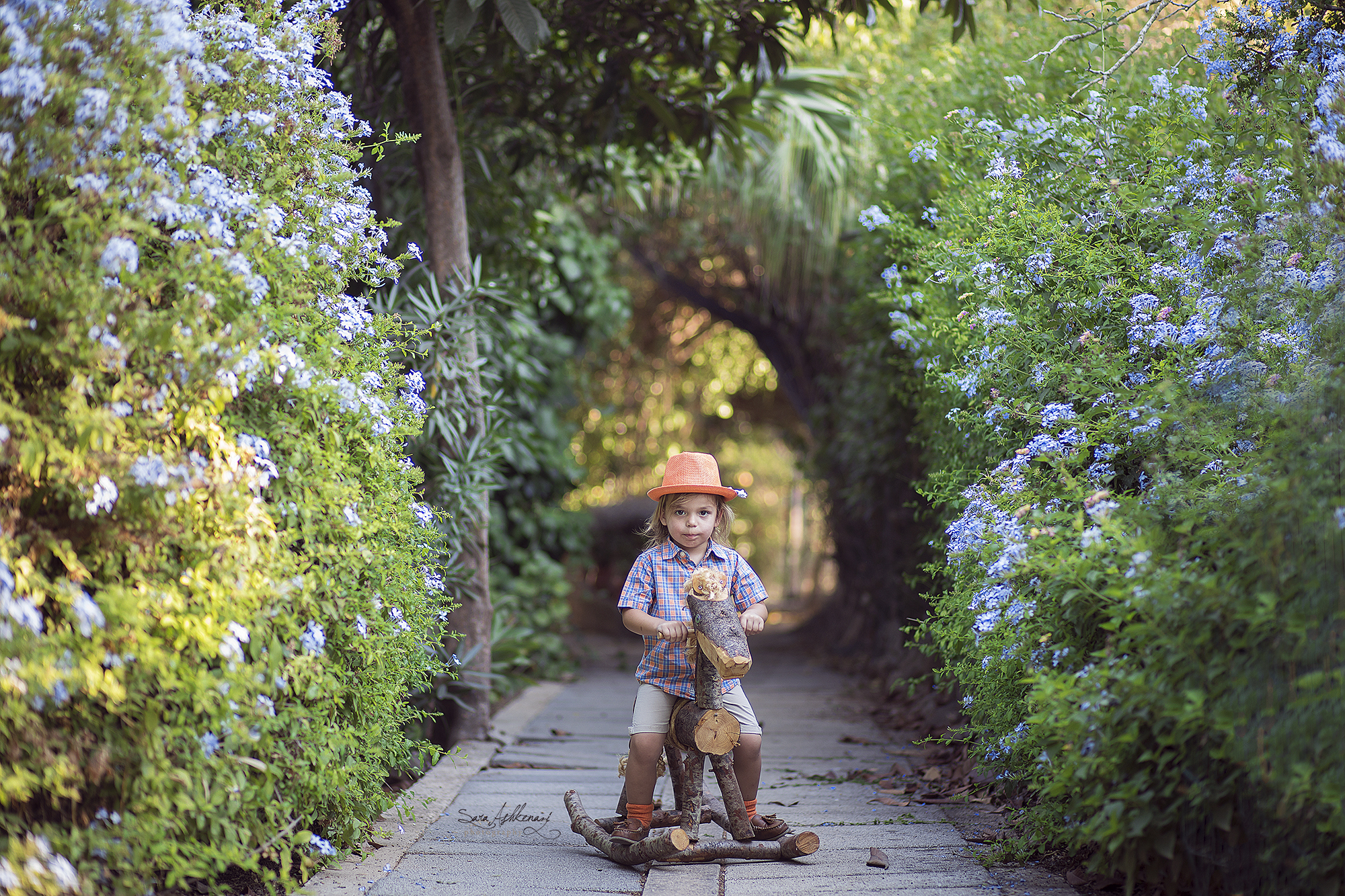 1I3A2873 מוקטן.jpg