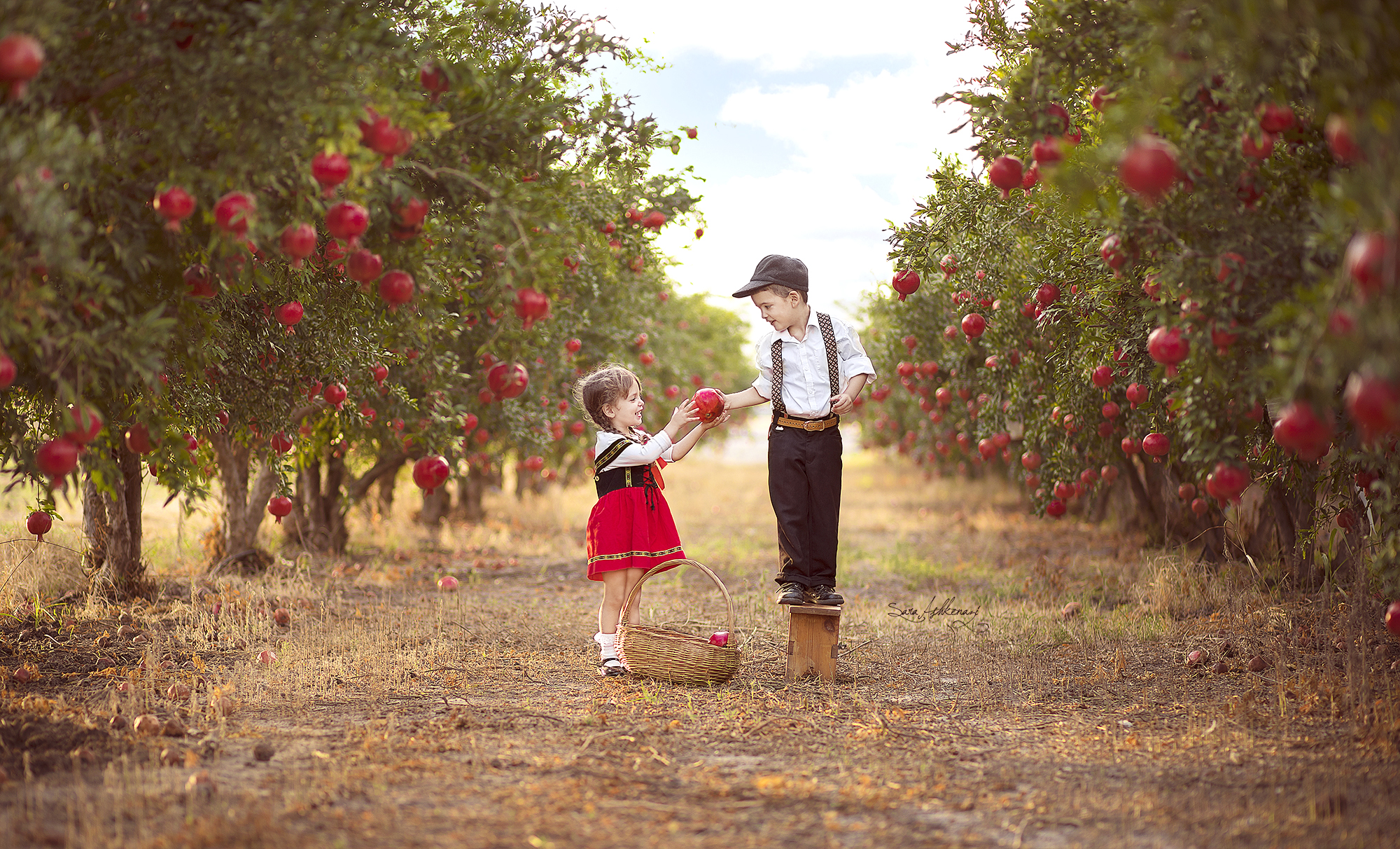 1I3A3035 מוקטן ערוך.jpg