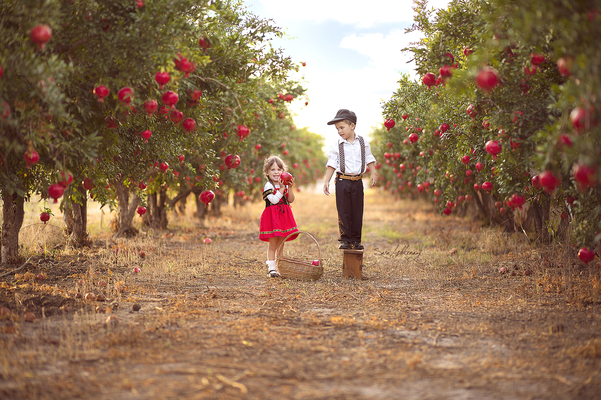1I3A3036 ערוך מוקטן.jpg
