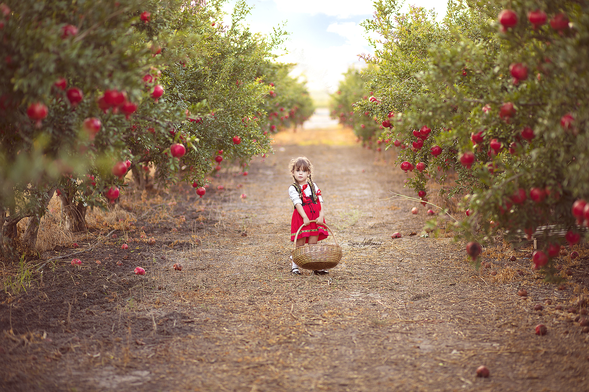 1I3A3086  מוקטן ערוך.jpg