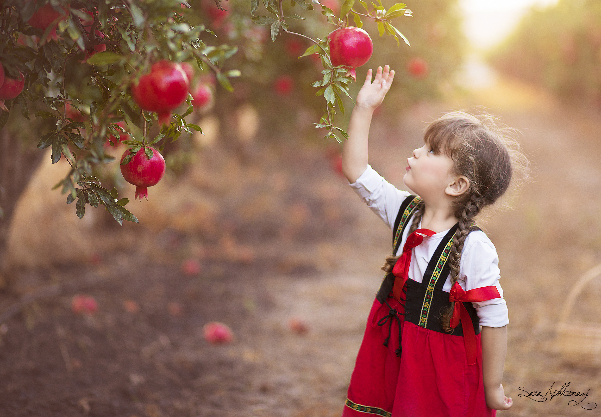 1I3A3106 ערוך מוקטן.jpg