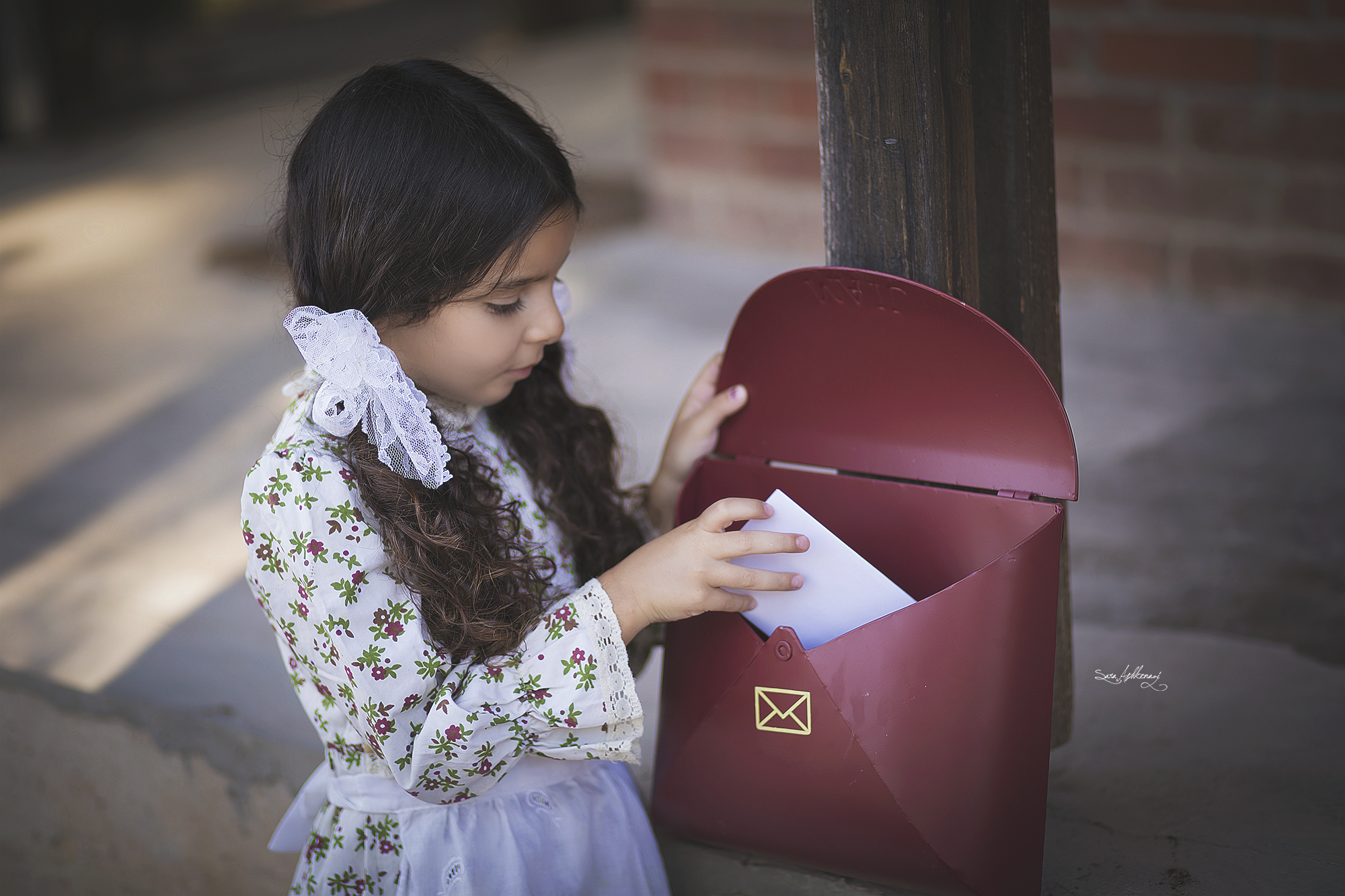 1I3A3336 ערוך מוקטן.jpg