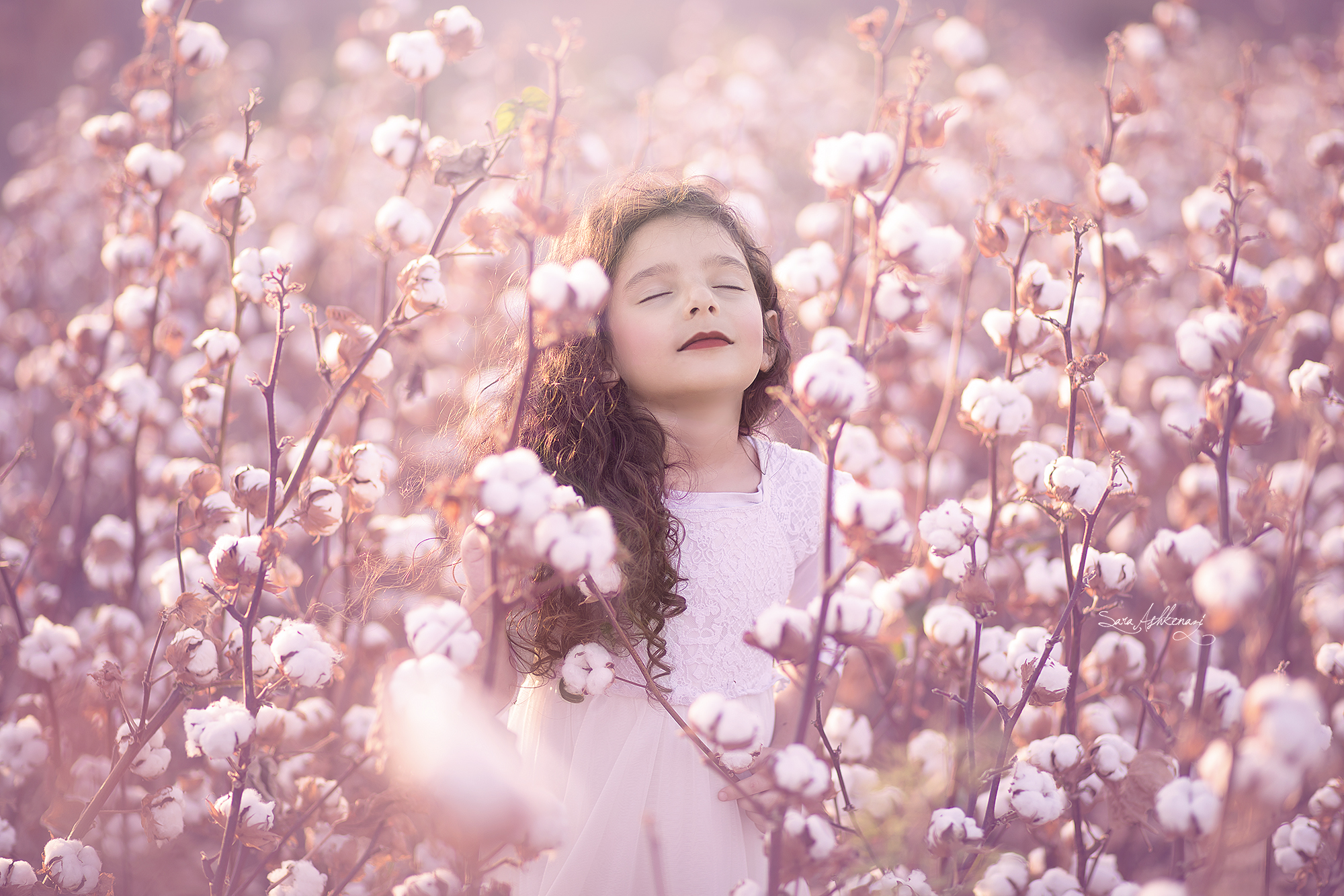 1I3A3377  מוקטן ערוך.jpg