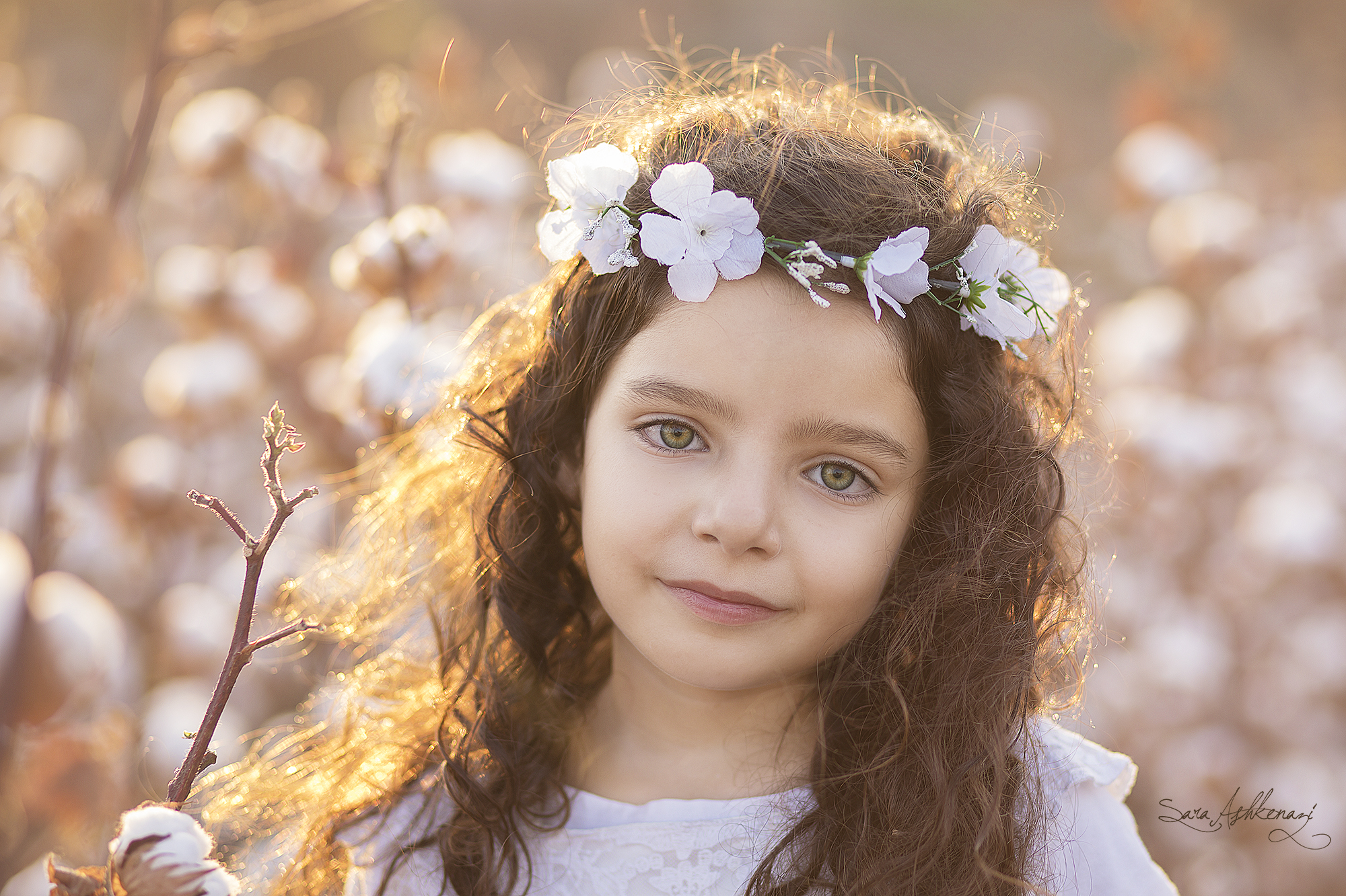 1I3A3420 ערוך.jpg