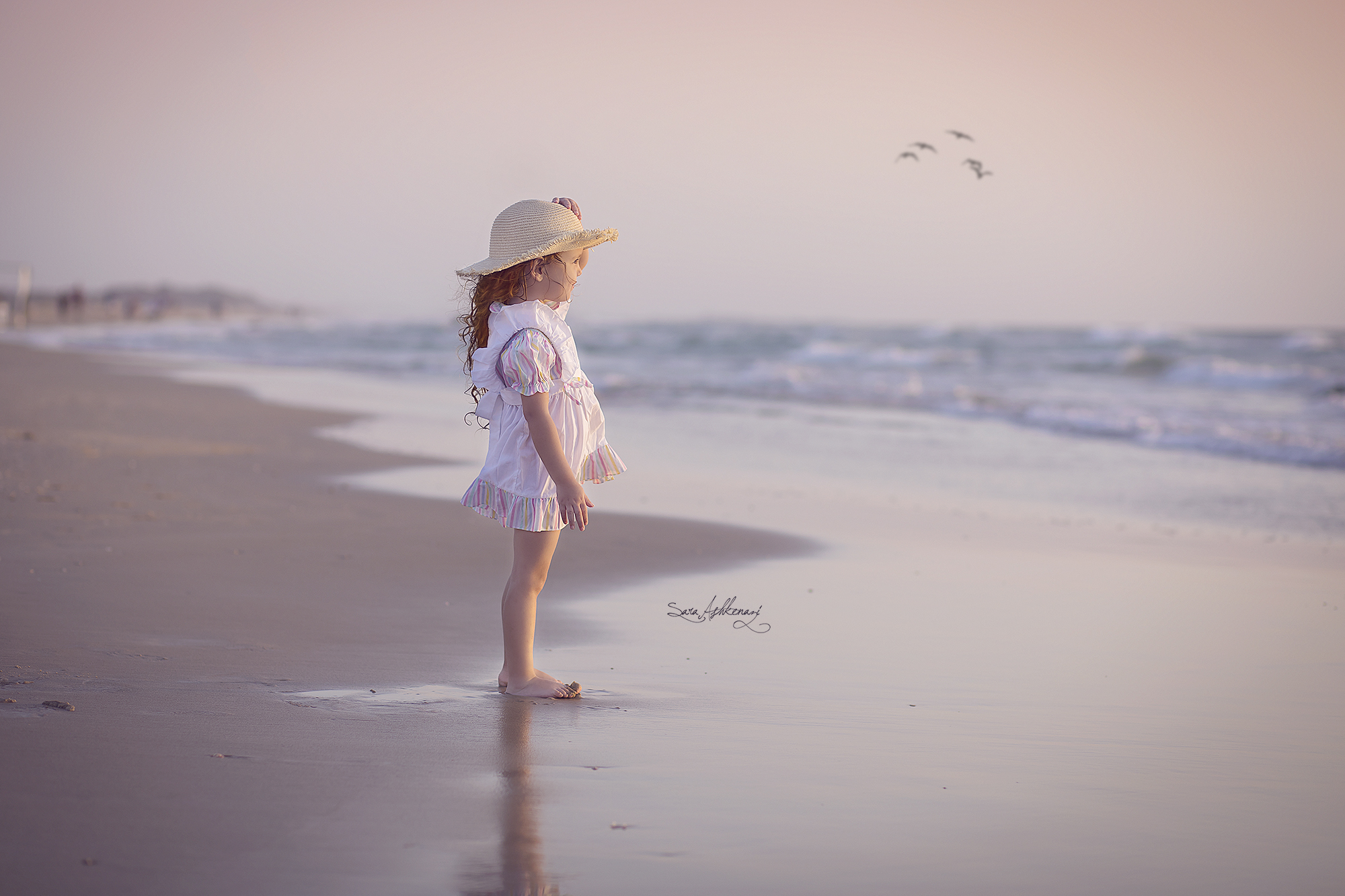 1I3A3843 ערוך מוקטן.jpg