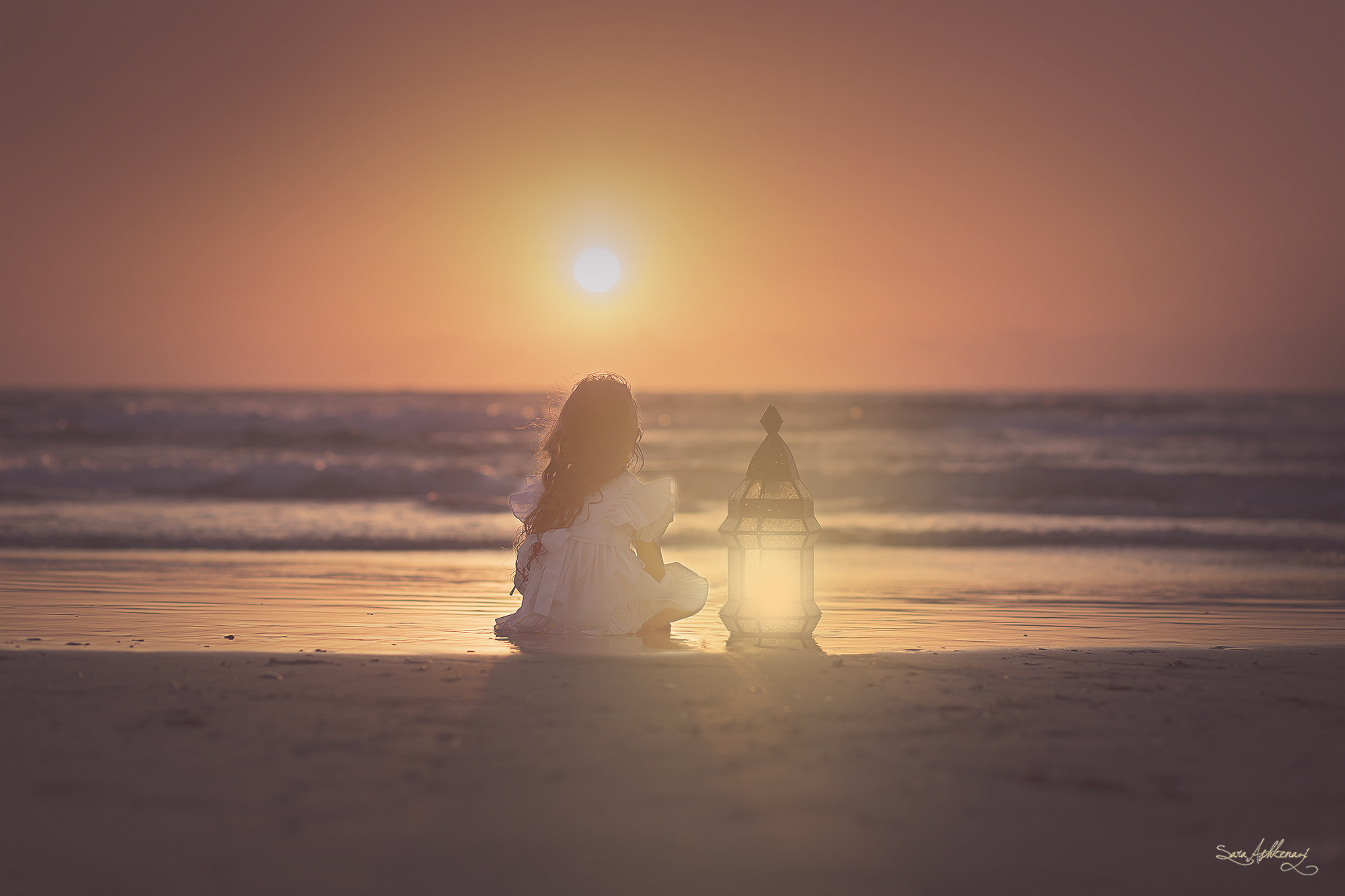 1I3A3877 ערוך מוקטן.jpg