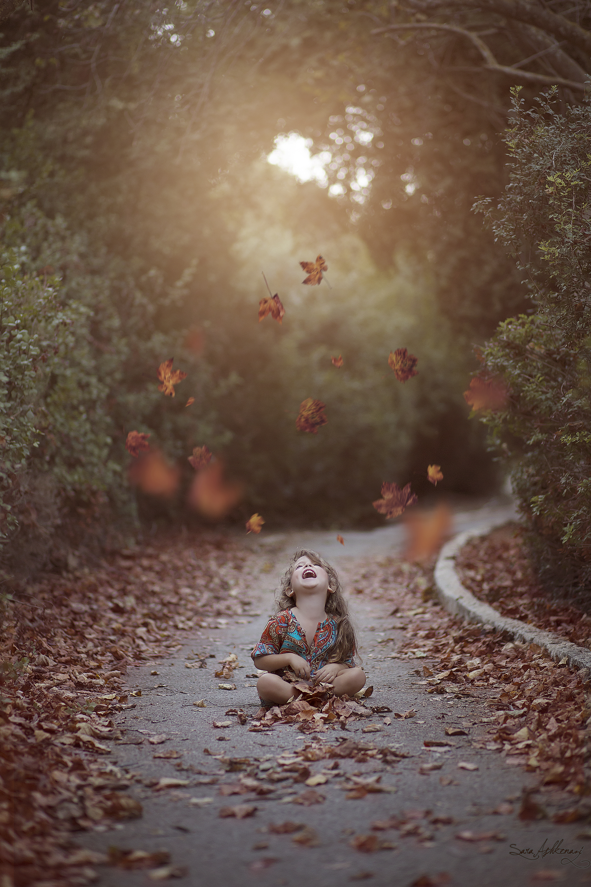 1I3A3924 ערוך מוקטן.jpg