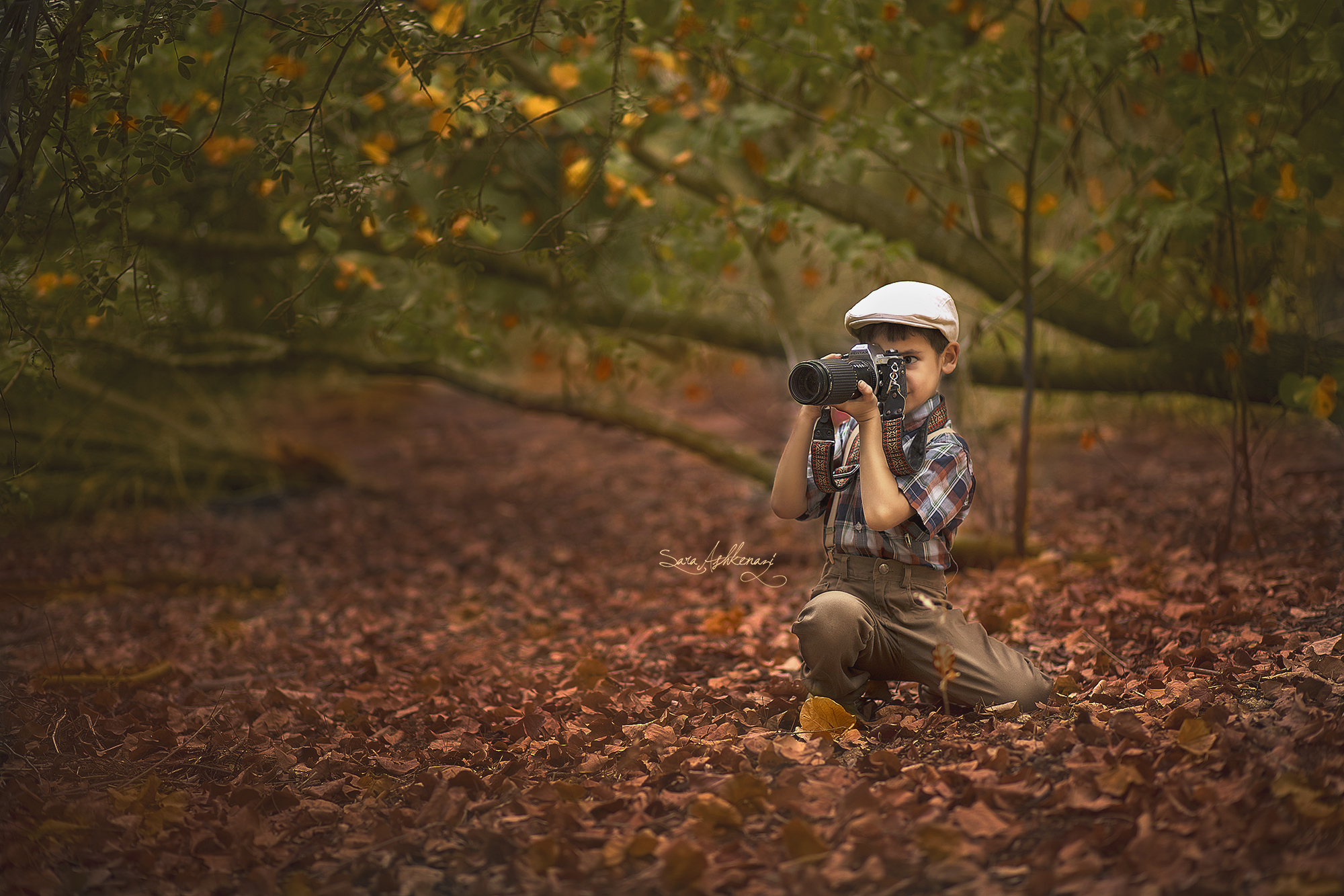 1I3A4241 מוקטן ערוך.jpg