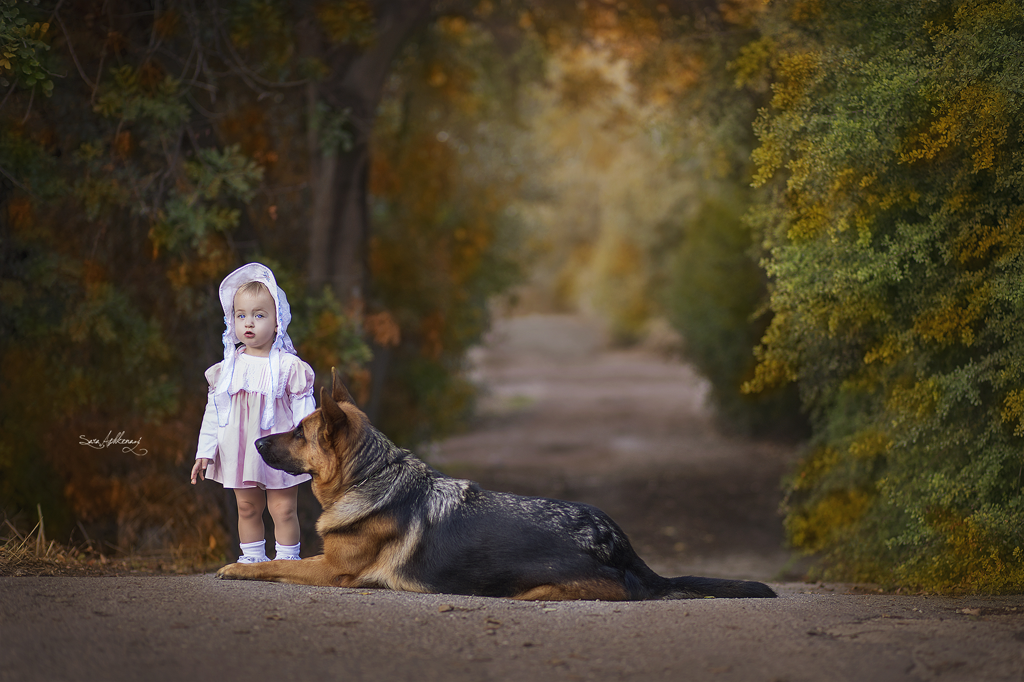 1I3A4317 מוקטן.jpg