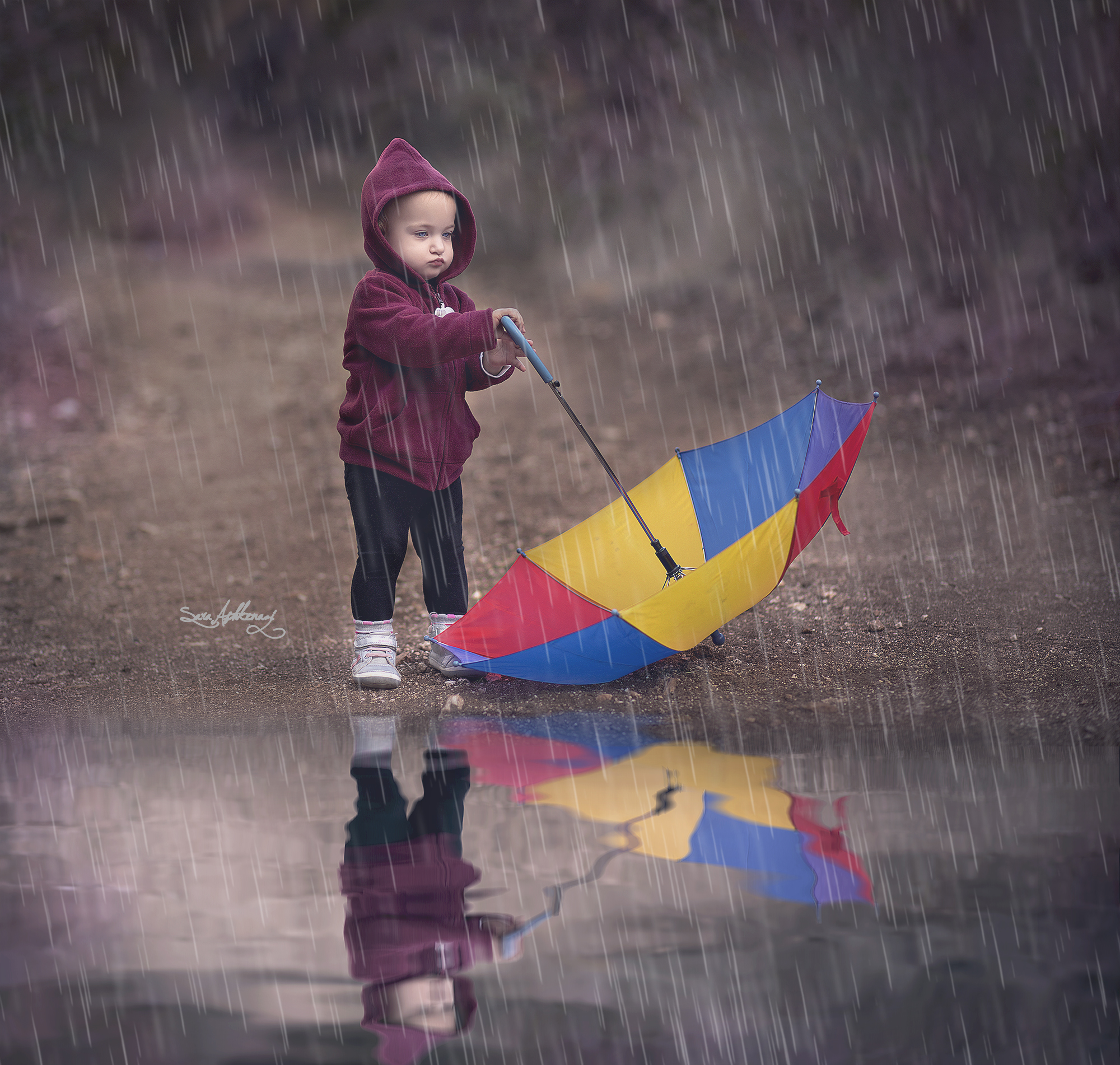 1I3A4492 מוקטן.jpg