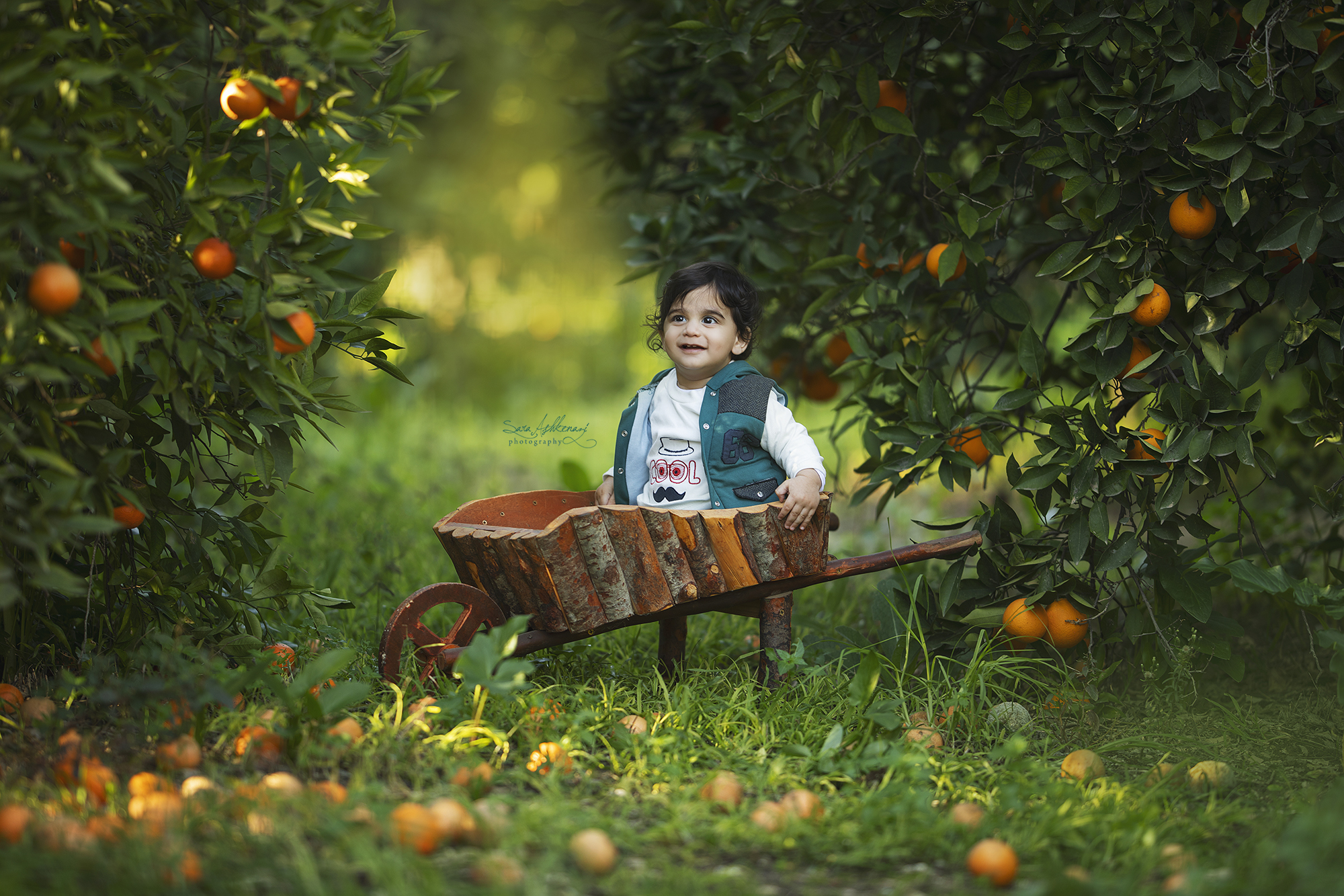 1I3A6624 מוקטן.jpg