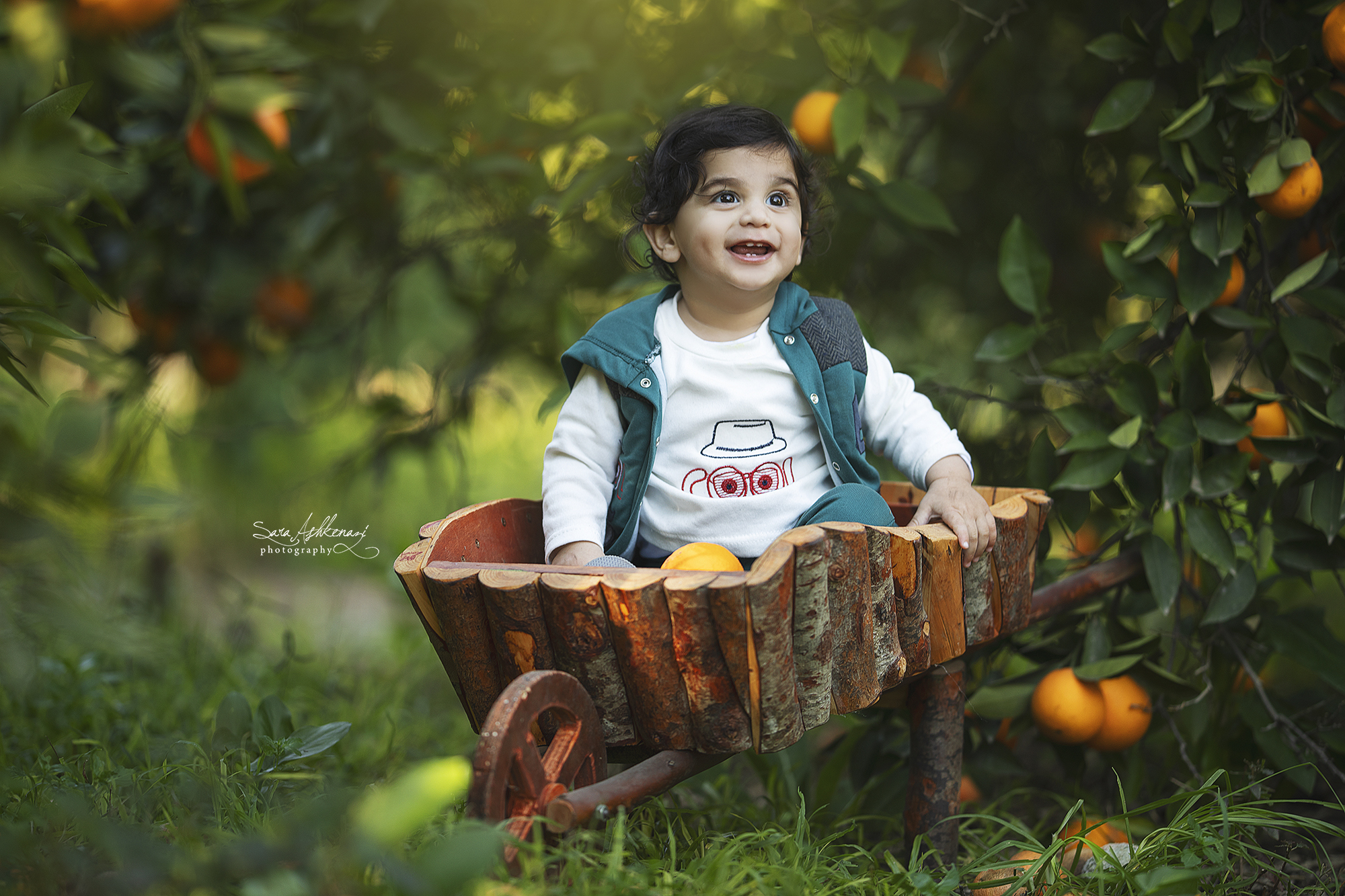 1I3A6683 מוקטן.jpg