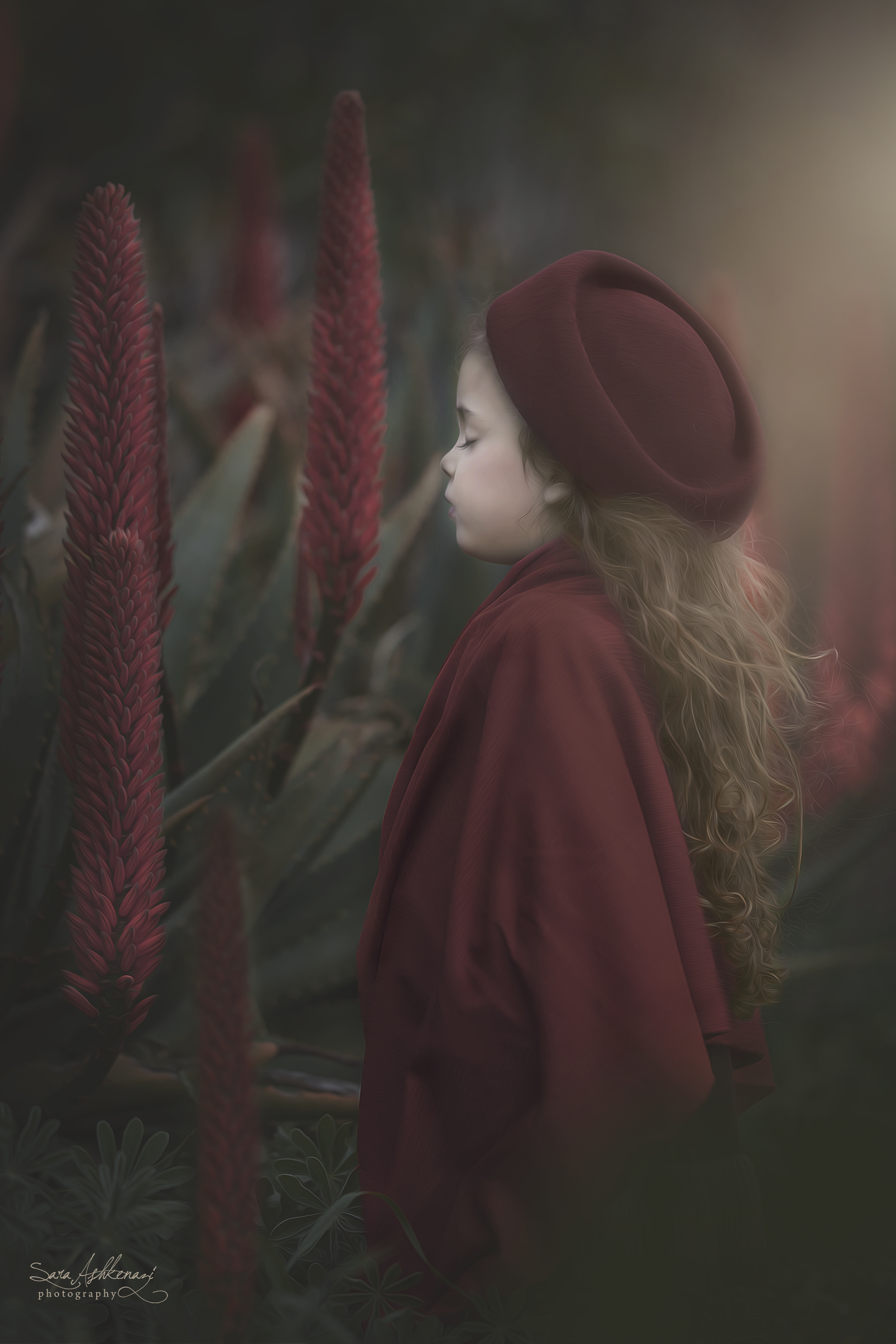 1I3A7001 מוקטן.jpg