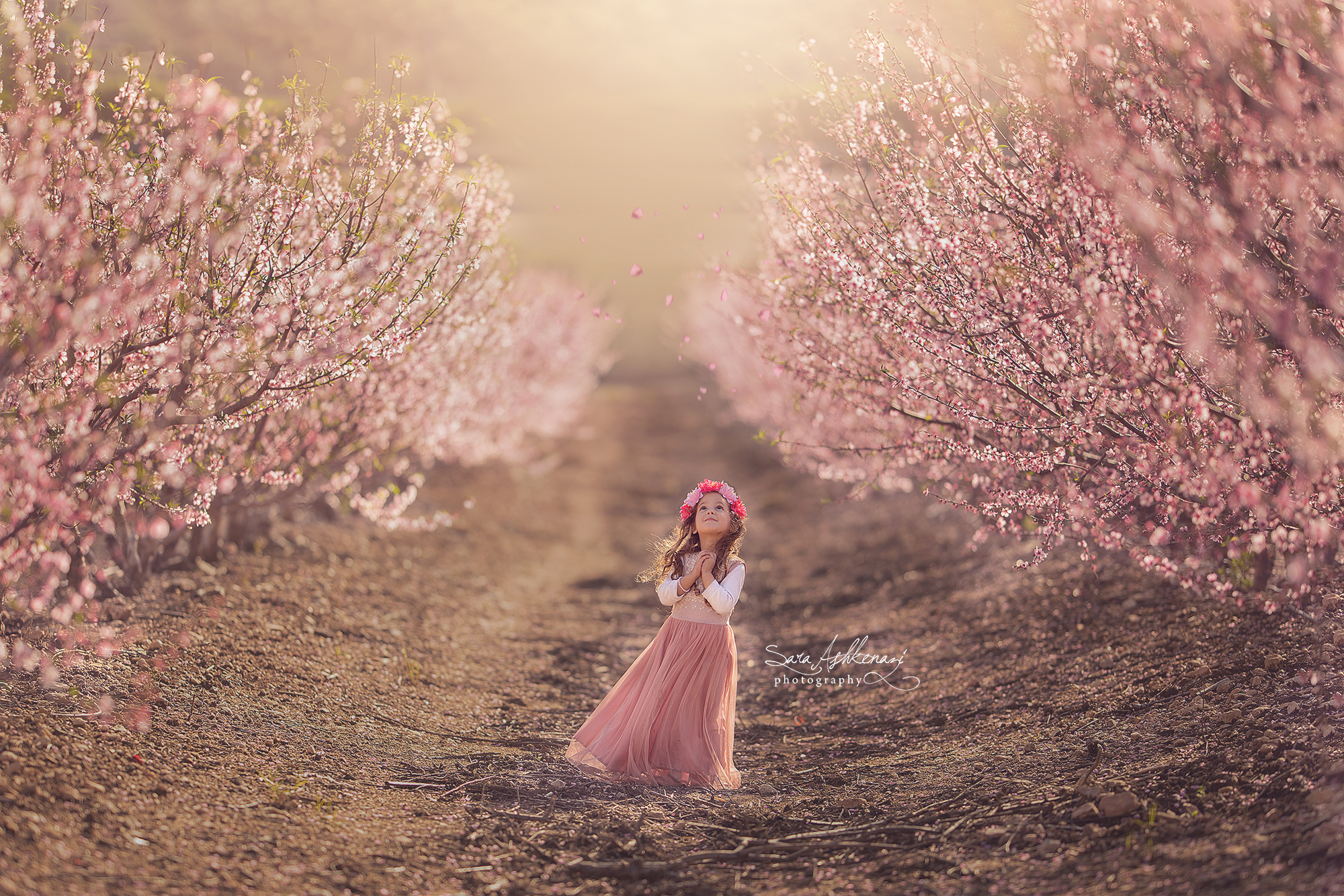 1I3A7255 ערוך מוקטן.jpg