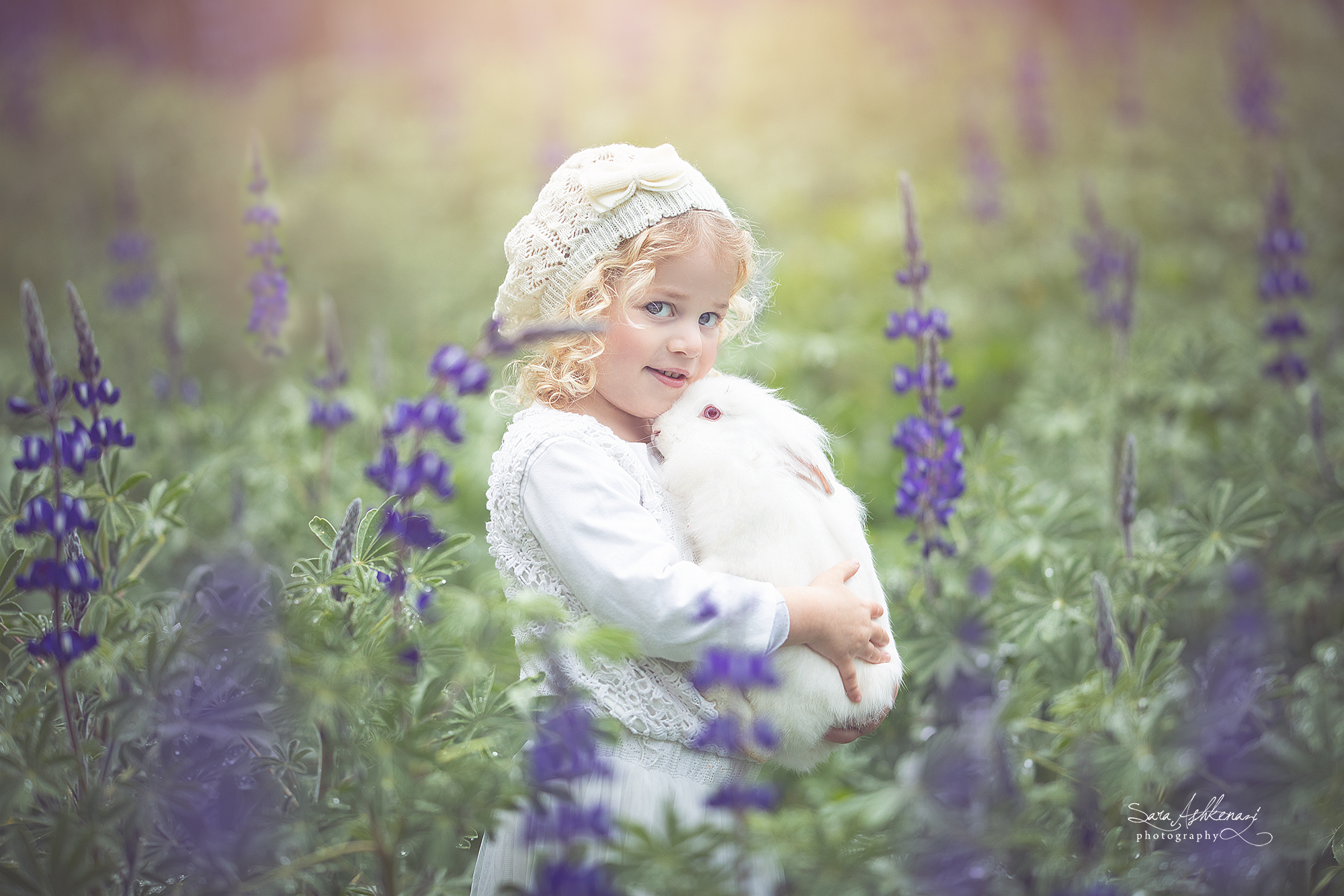 1I3A7315 ערוך  מוקטן.jpg