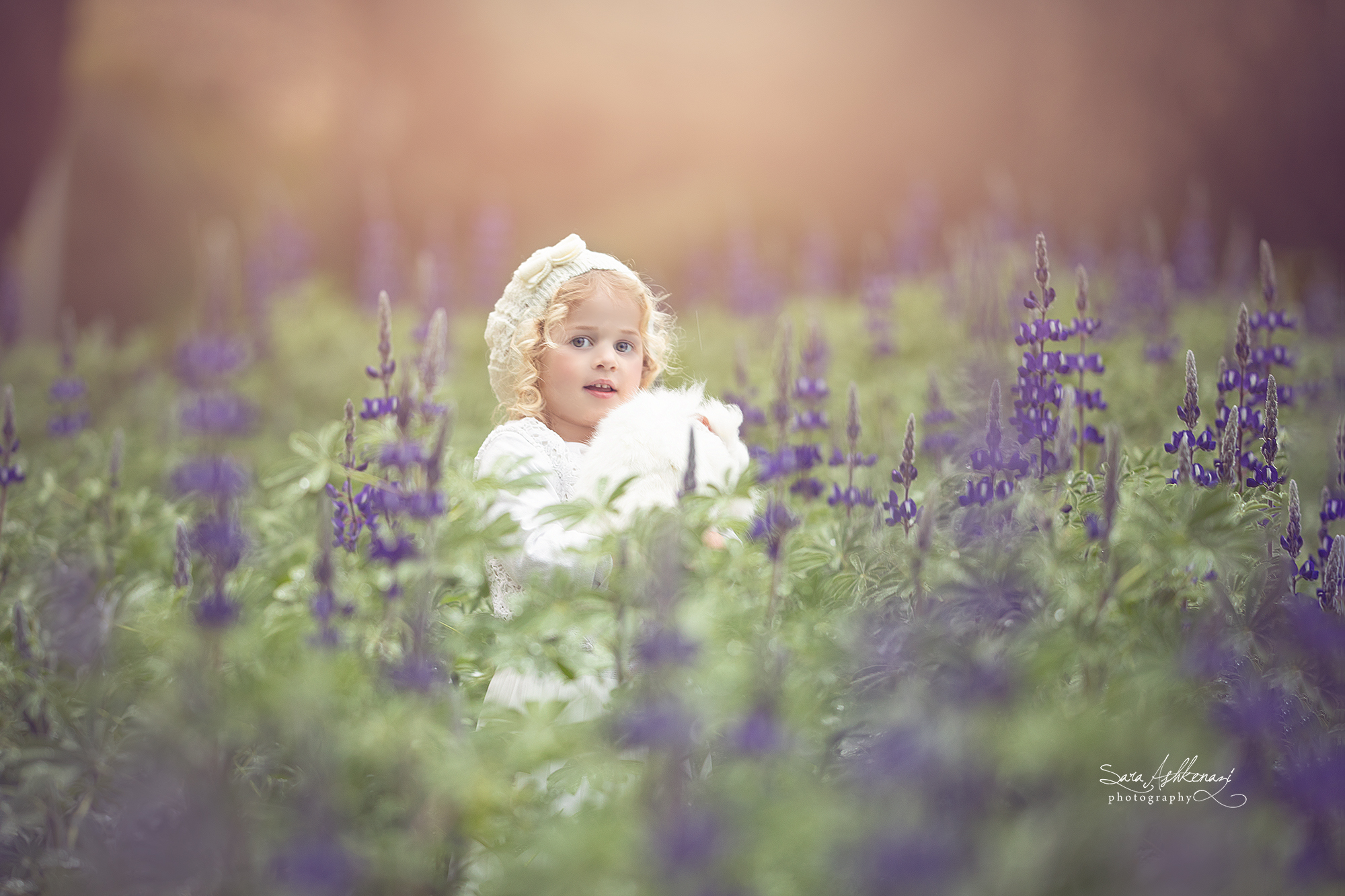 1I3A7320 ערוך מוקטן.jpg