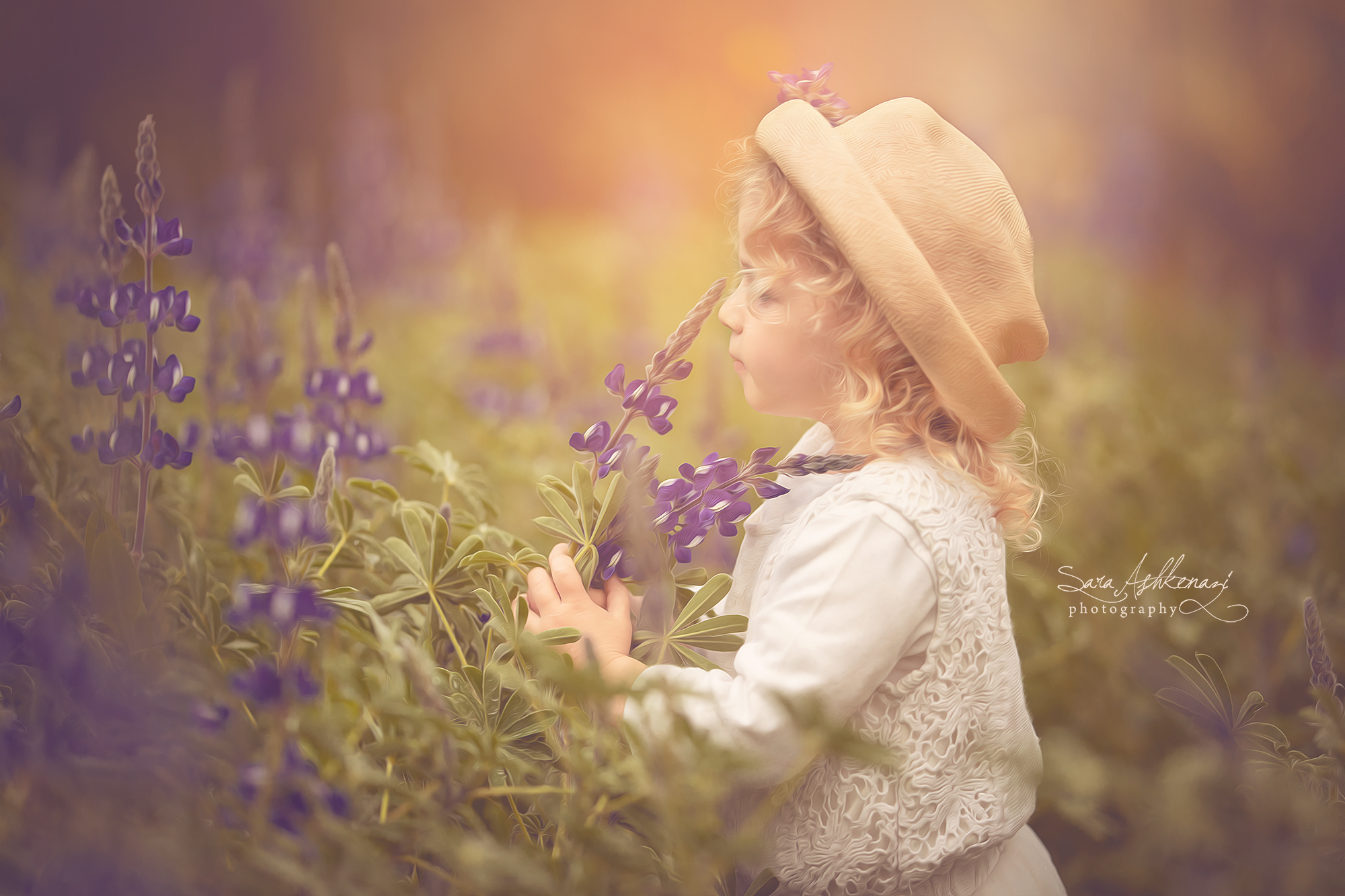 1I3A7334 ערוך מוקטן.jpg