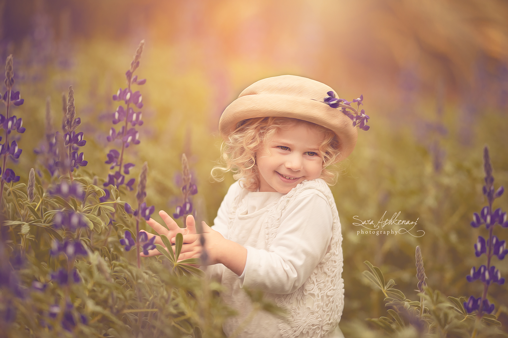 1I3A7340 ערך מוקטן.jpg