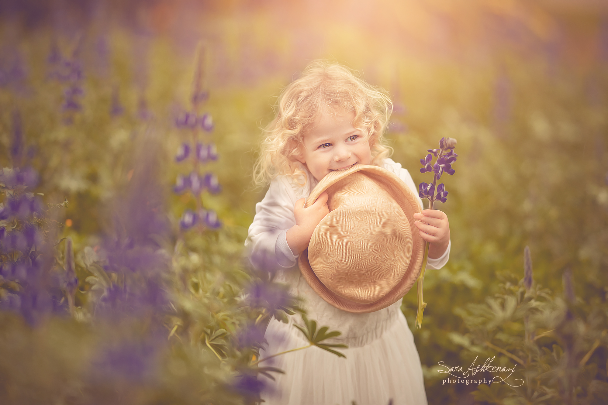 1I3A7349 ערוך מוקטן.jpg