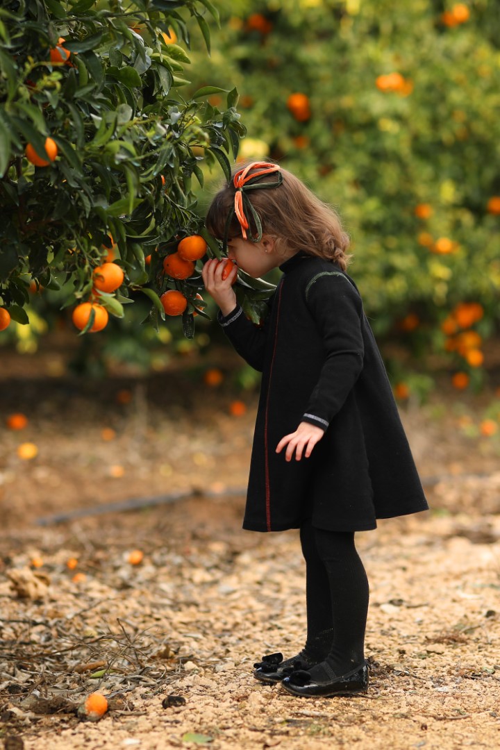 1X4A2002 copy (Large).jpg