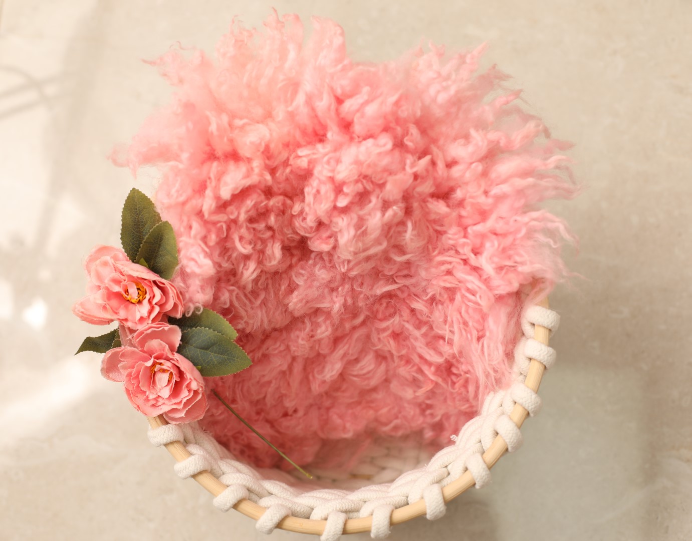 1X4A2462 copy (Large).jpg