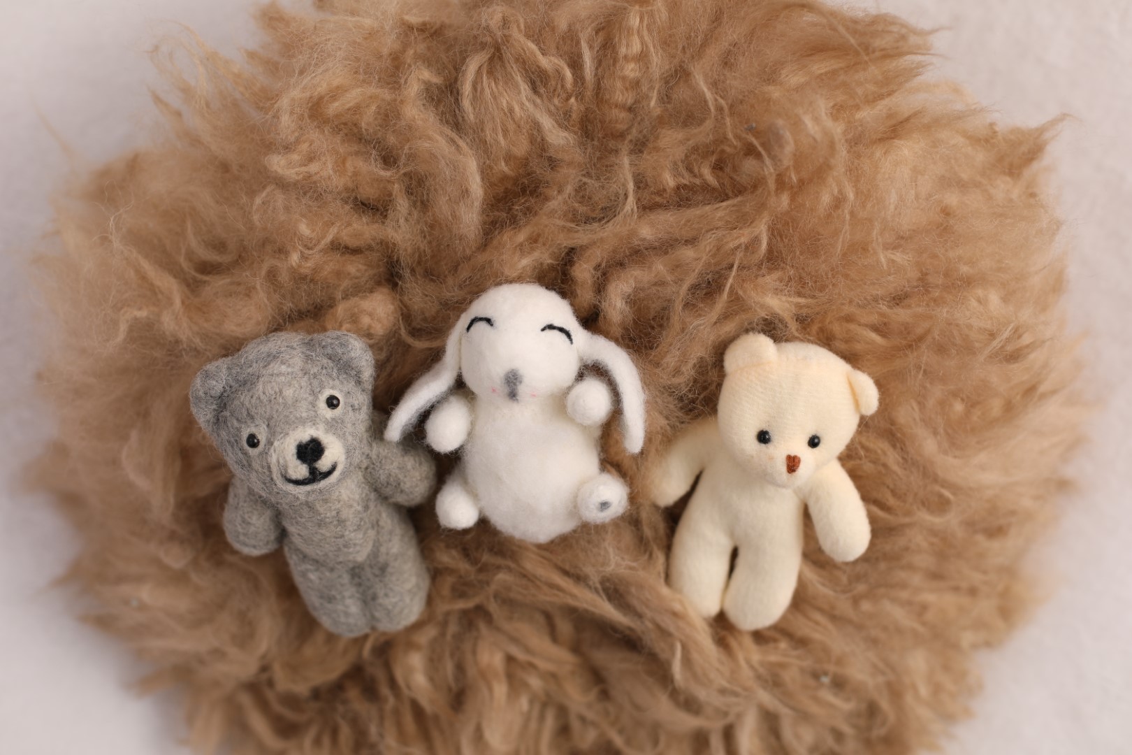 1X4A2480 (Large).JPG