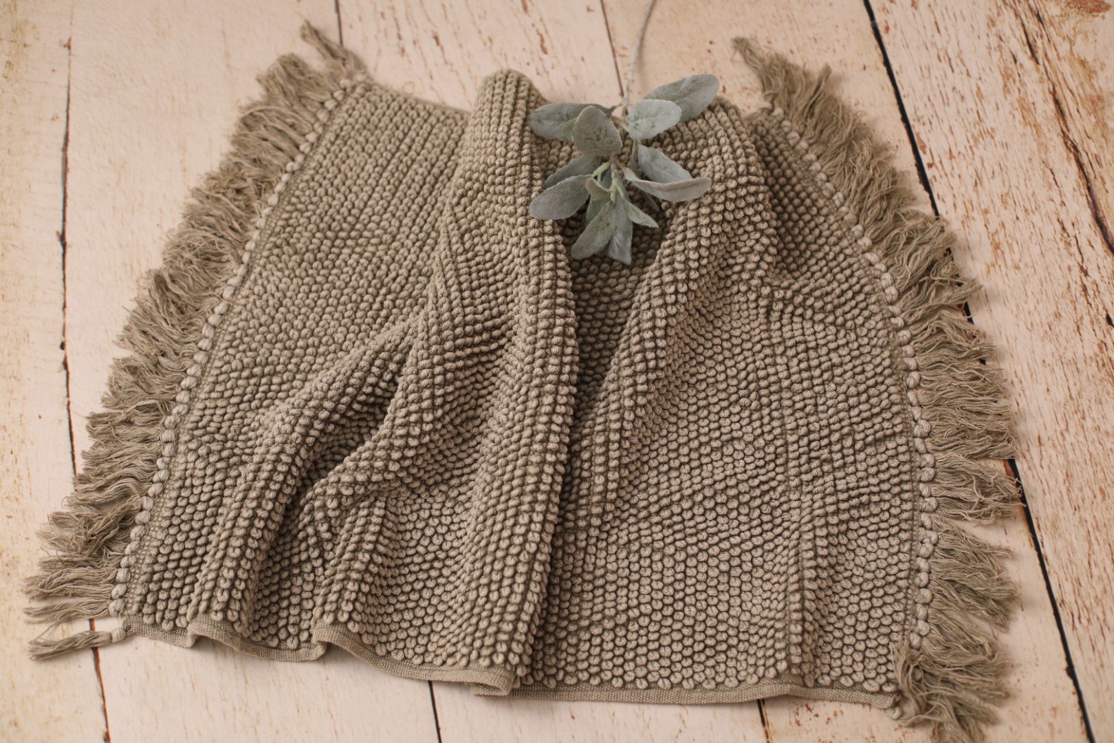 1X4A2484 (Large).JPG