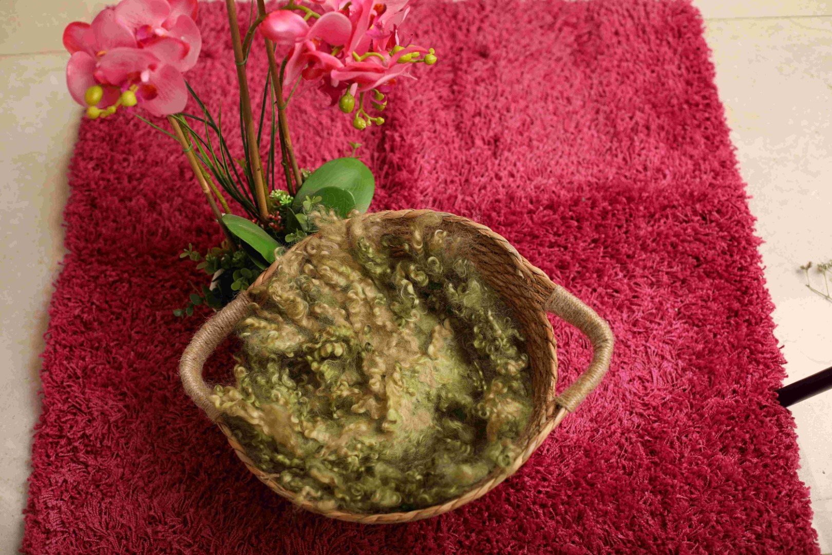 1X4A4650 (Large).JPG