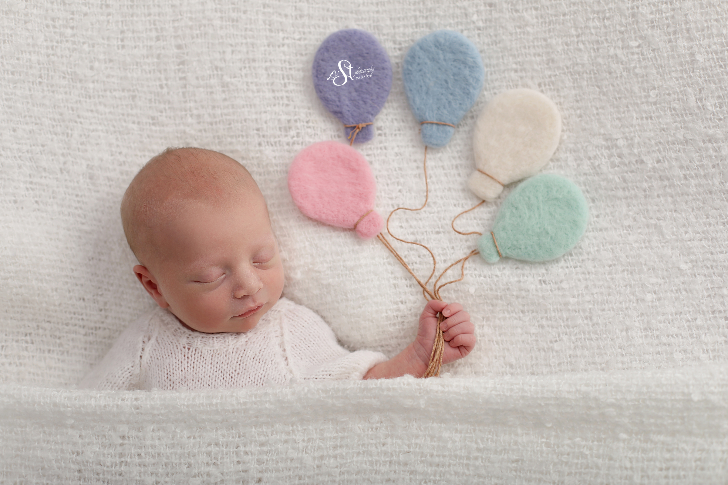 1X4A8152-Recovered copy 2.jpg