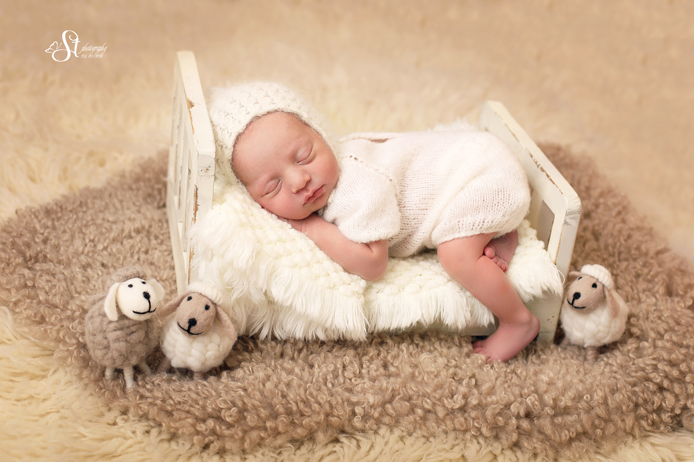 1X4A8274-Recovered-Recovered copy 3.jpg