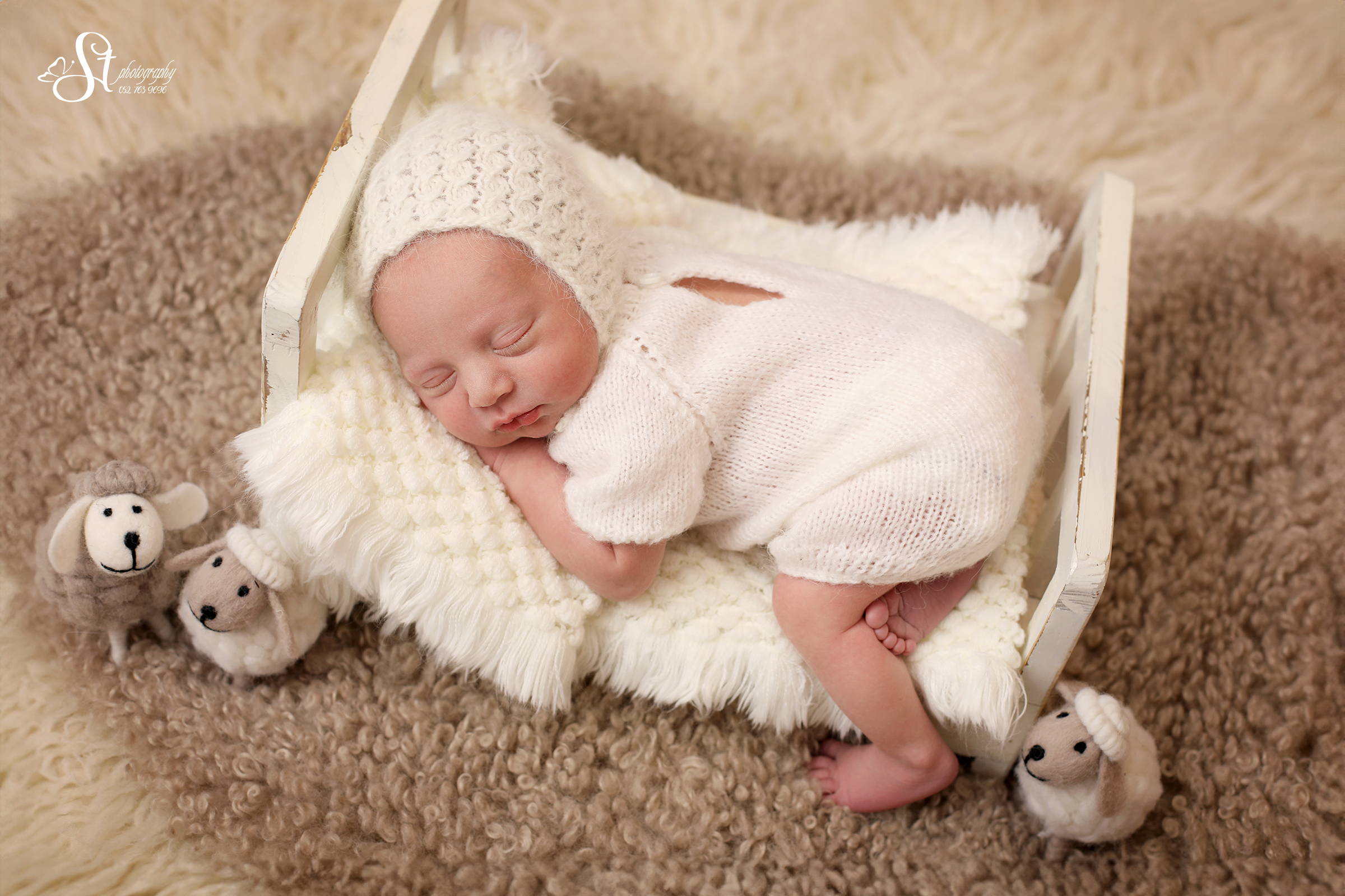 1X4A8288-Recovered copy 2.jpg