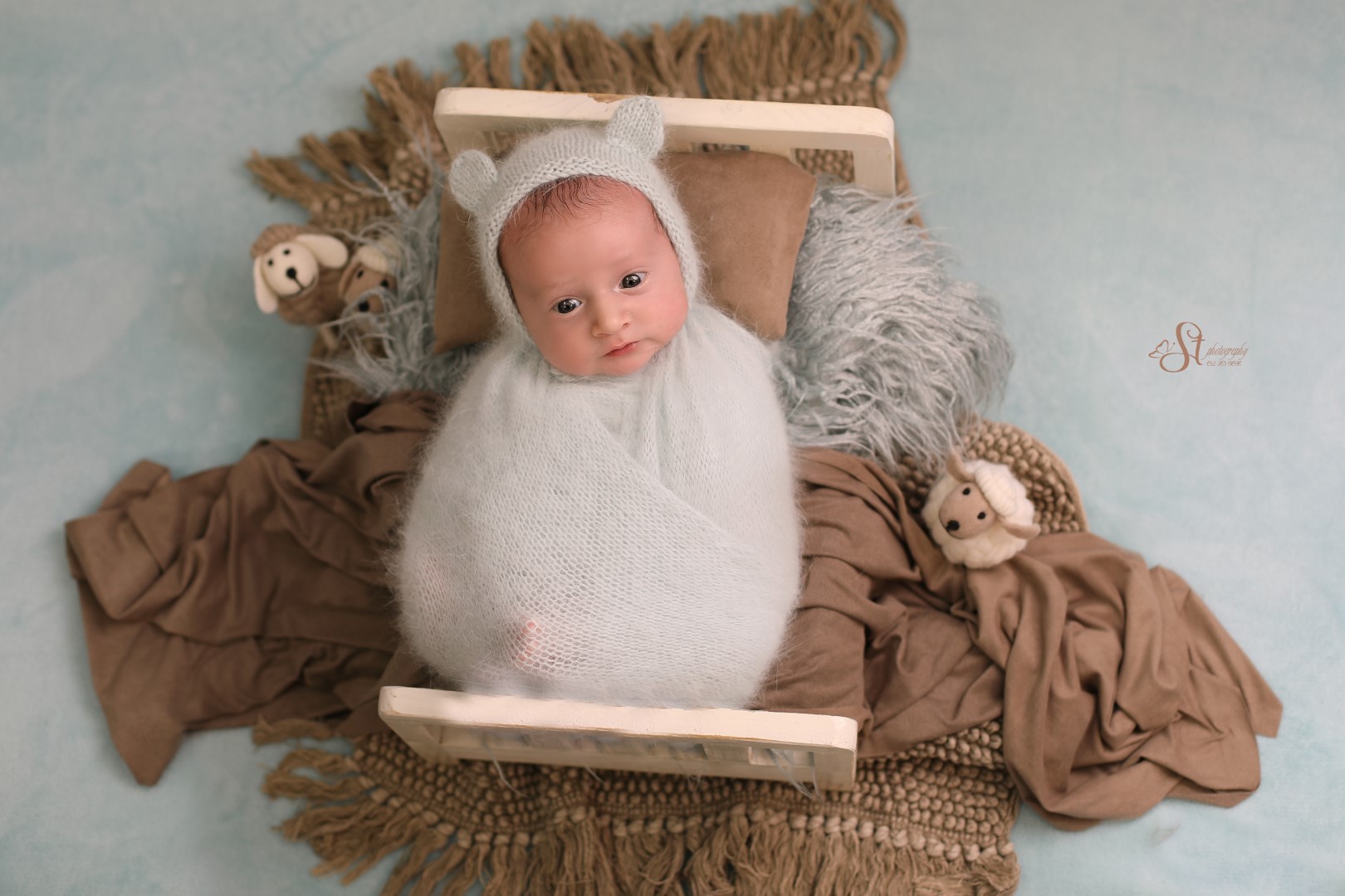 1X4A9655 copy.jpgךםעם (Large).jpg