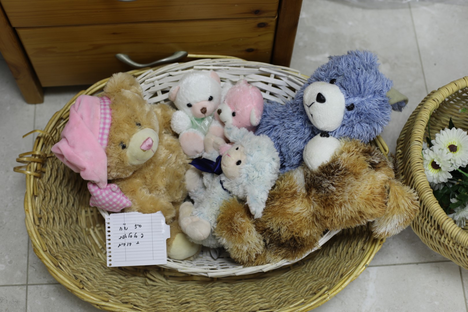 1X4A9699 (Large).JPG