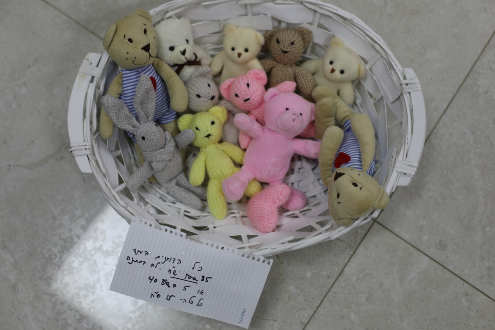 1X4A9700 (Large).JPG