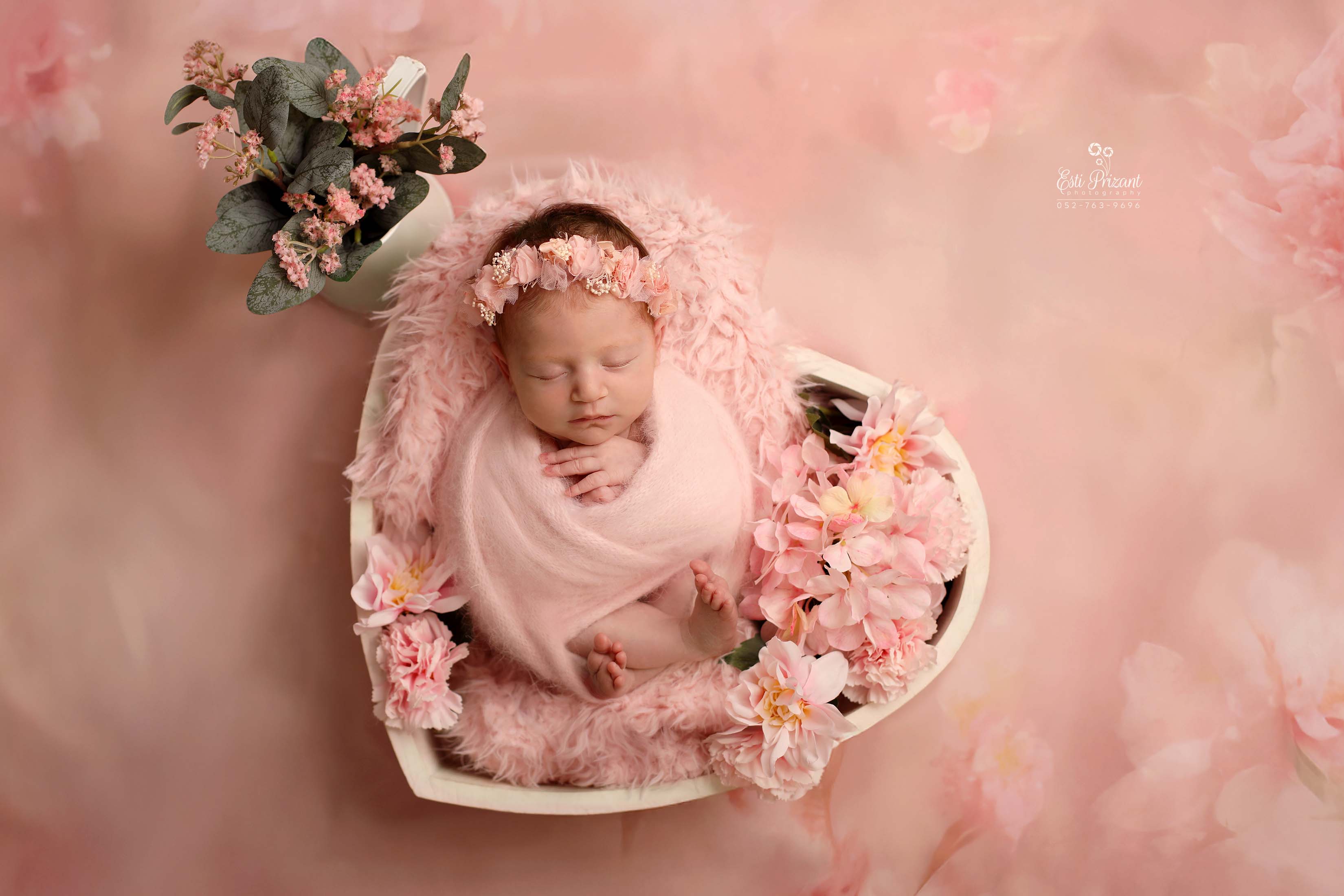 1X4A9799 copy 2 copy 2.jpg