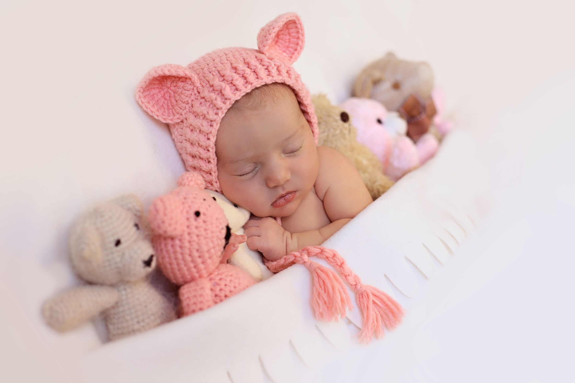 1X4A9985 copy.jpgsmall.jpg