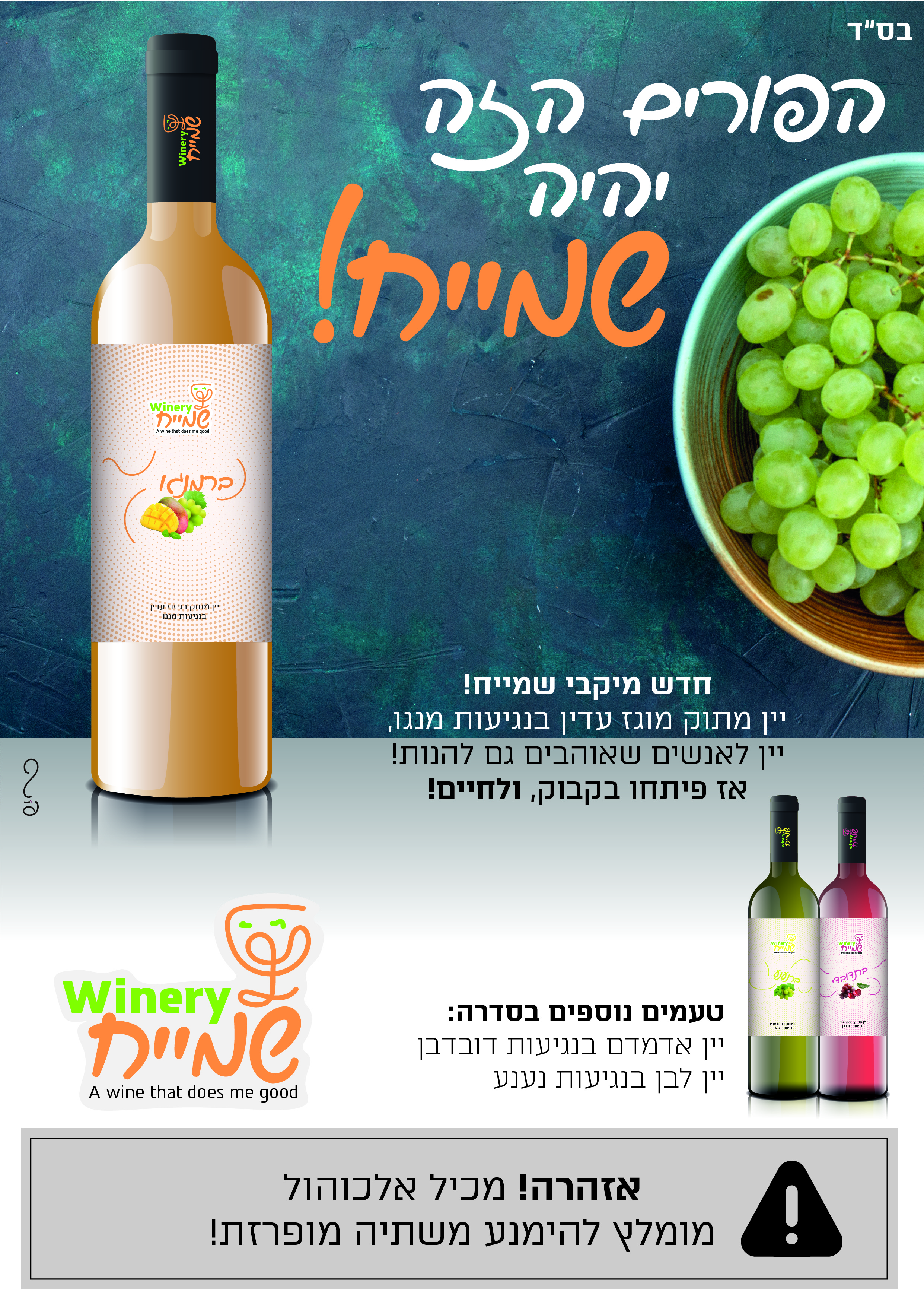 2מודעה אתגר פרוג-01.jpg