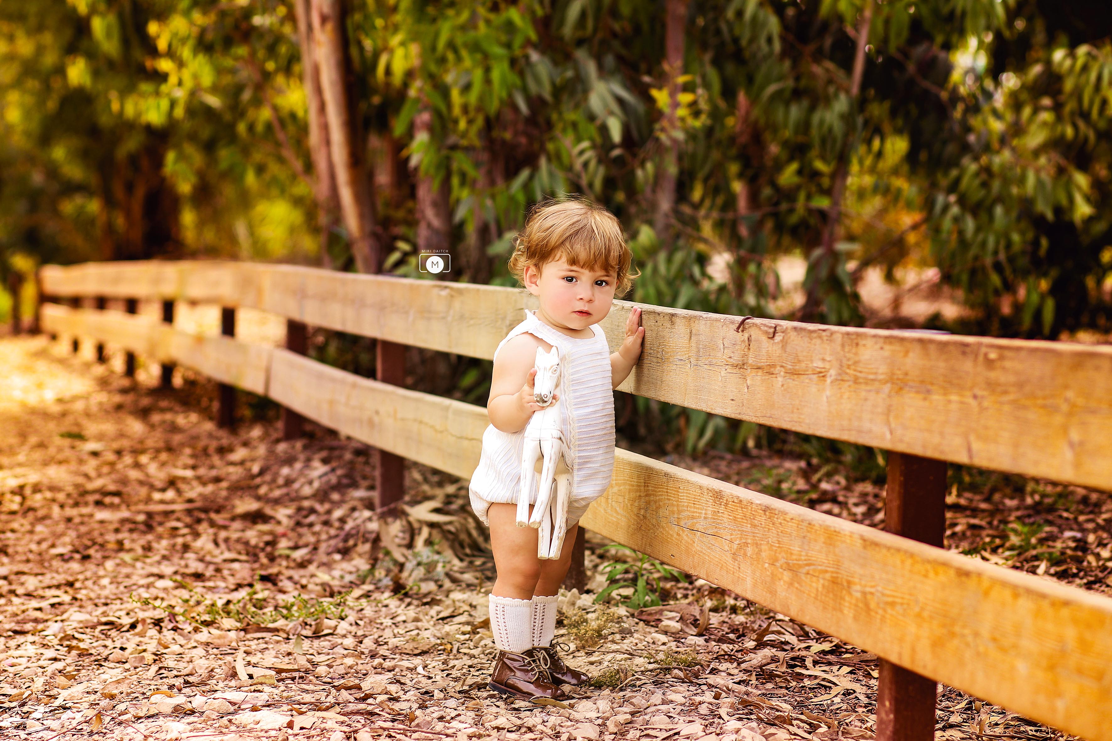 2מירי דייטש -.jpg